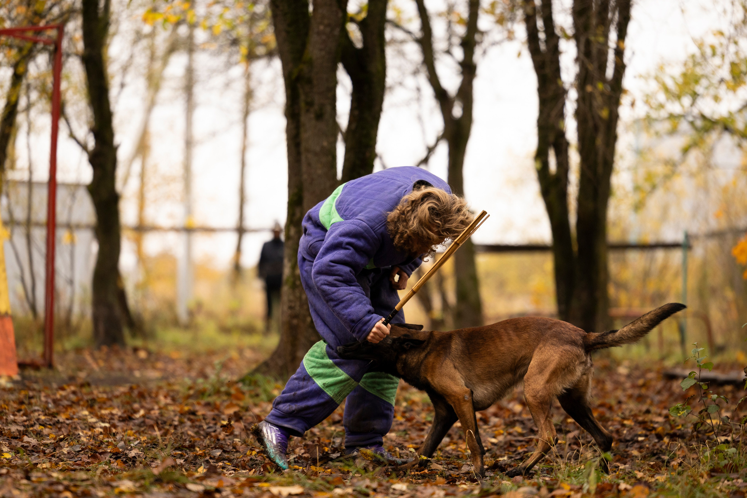 Соревнования по Мондьорингу г. Вологда. Фотограф-анималист Анна Маринич