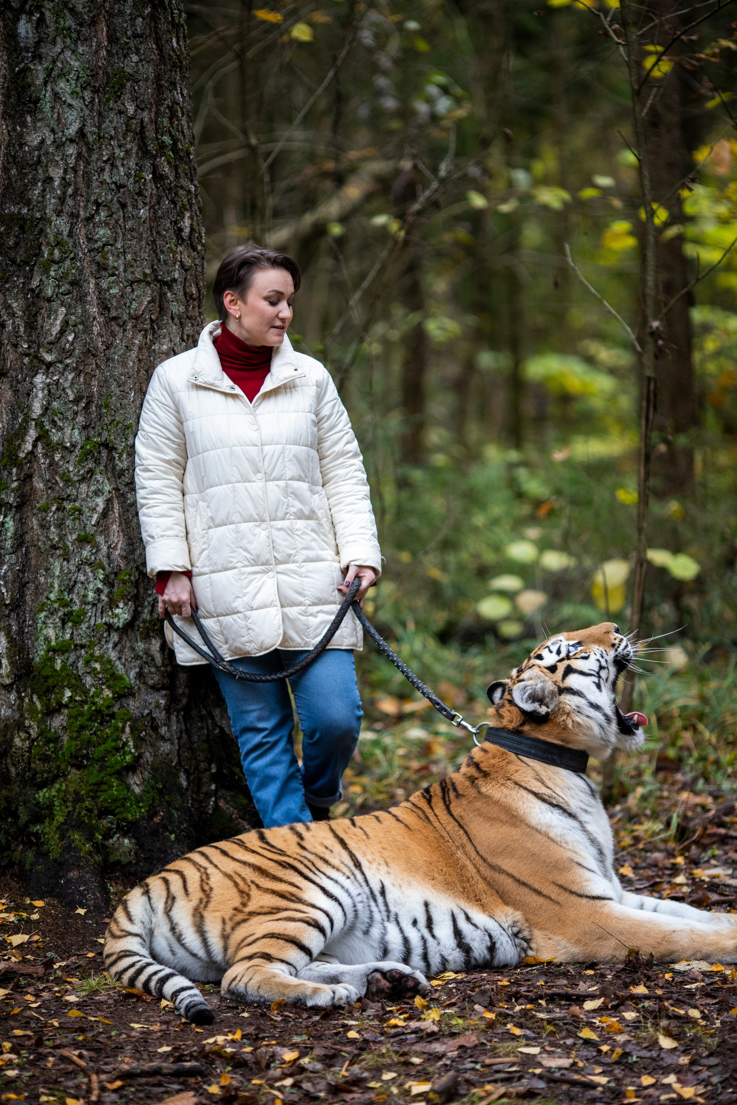 С тигром. Фотограф в Москве и в Московской области Сандра