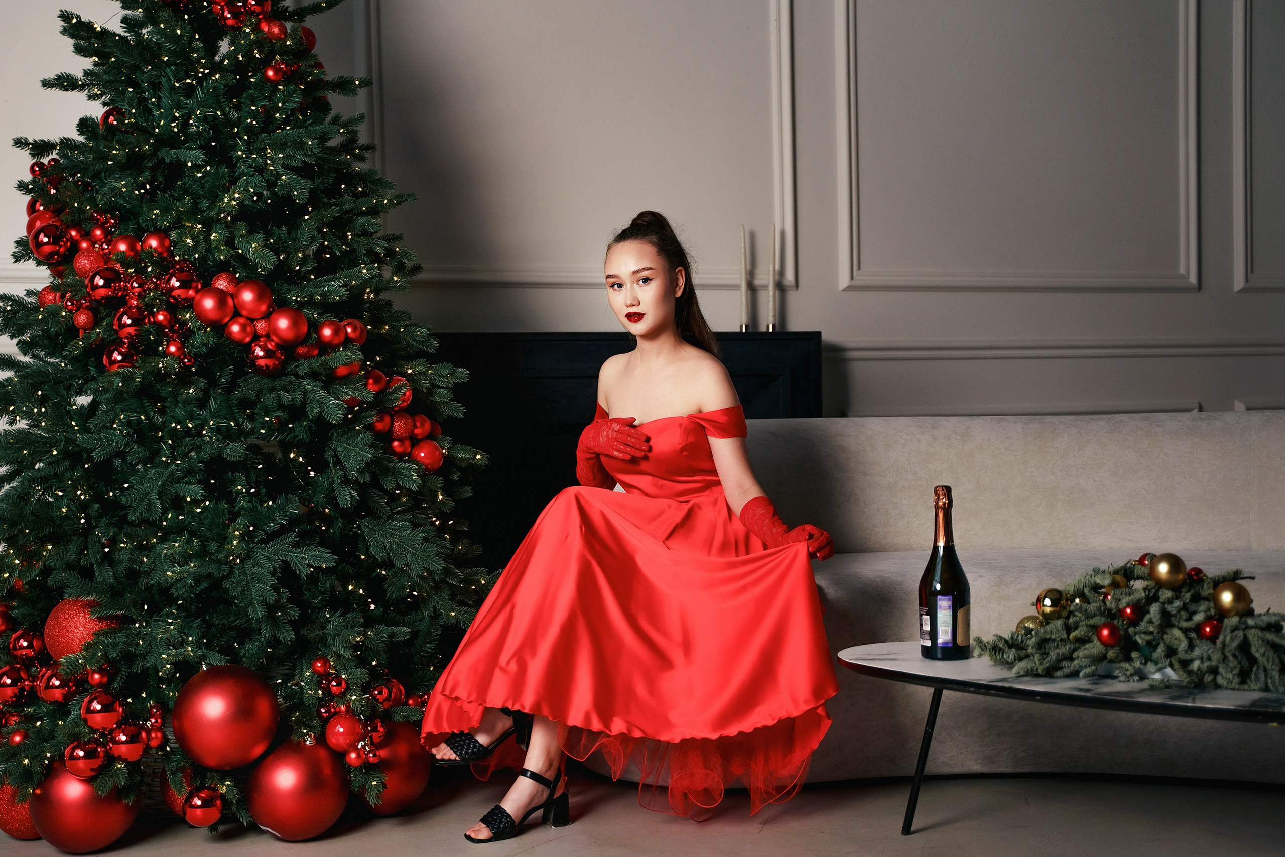 Red Christmas. Фотограф-анималист, портретный фотограф в Чебоксарах Мария Садыкова