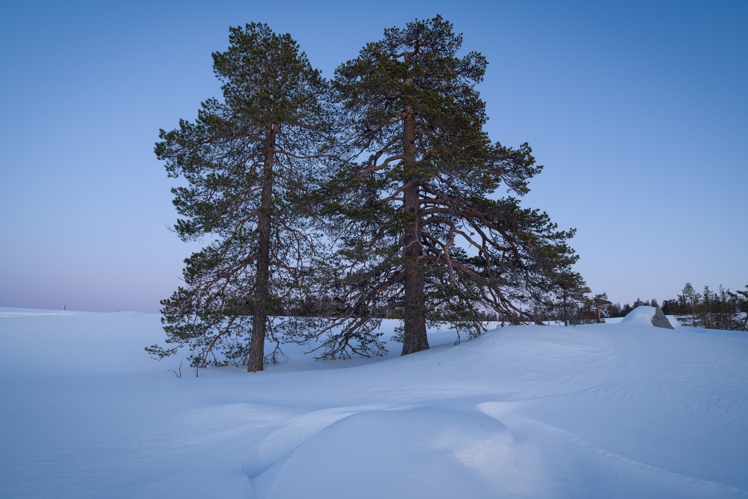 Зима. Северные Ночи