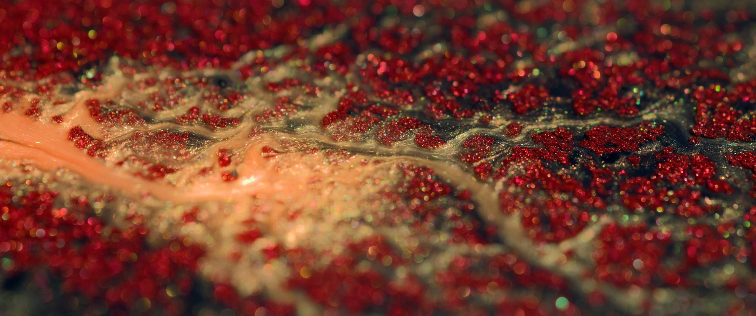 Genesis. Short films by Vadim Sherbakov