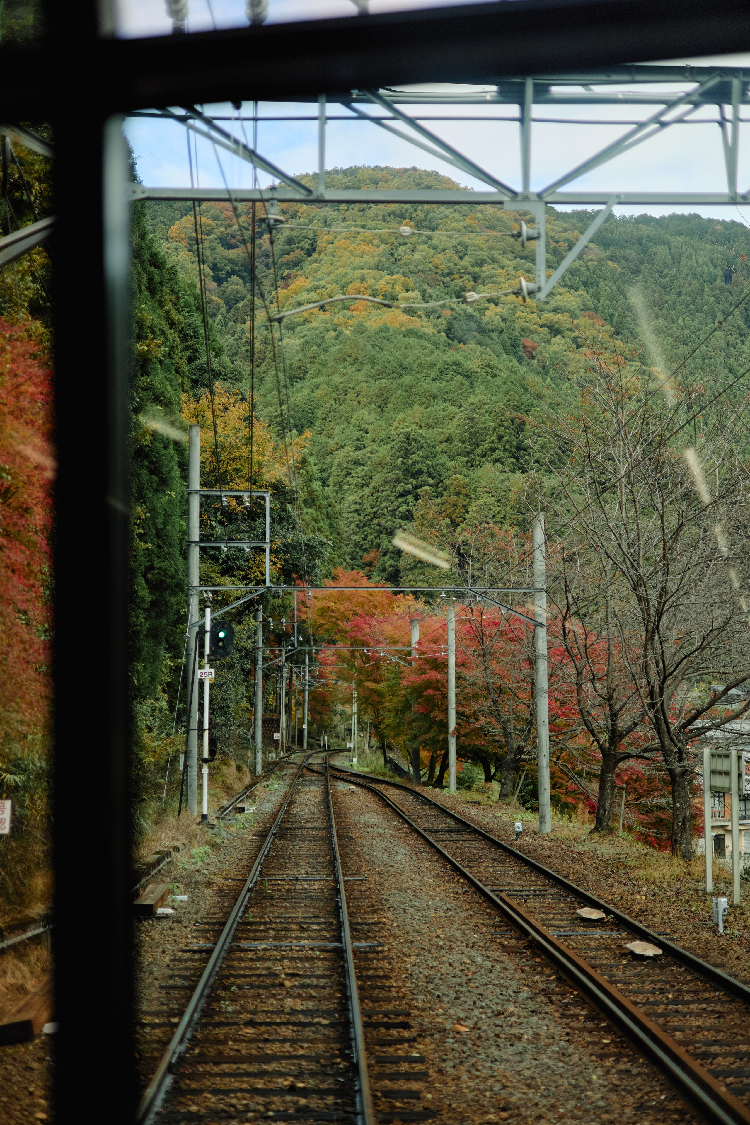 Япония. Профессиональный Фотограф во Владимире, в Москве и в Суздале — Полина Романычева