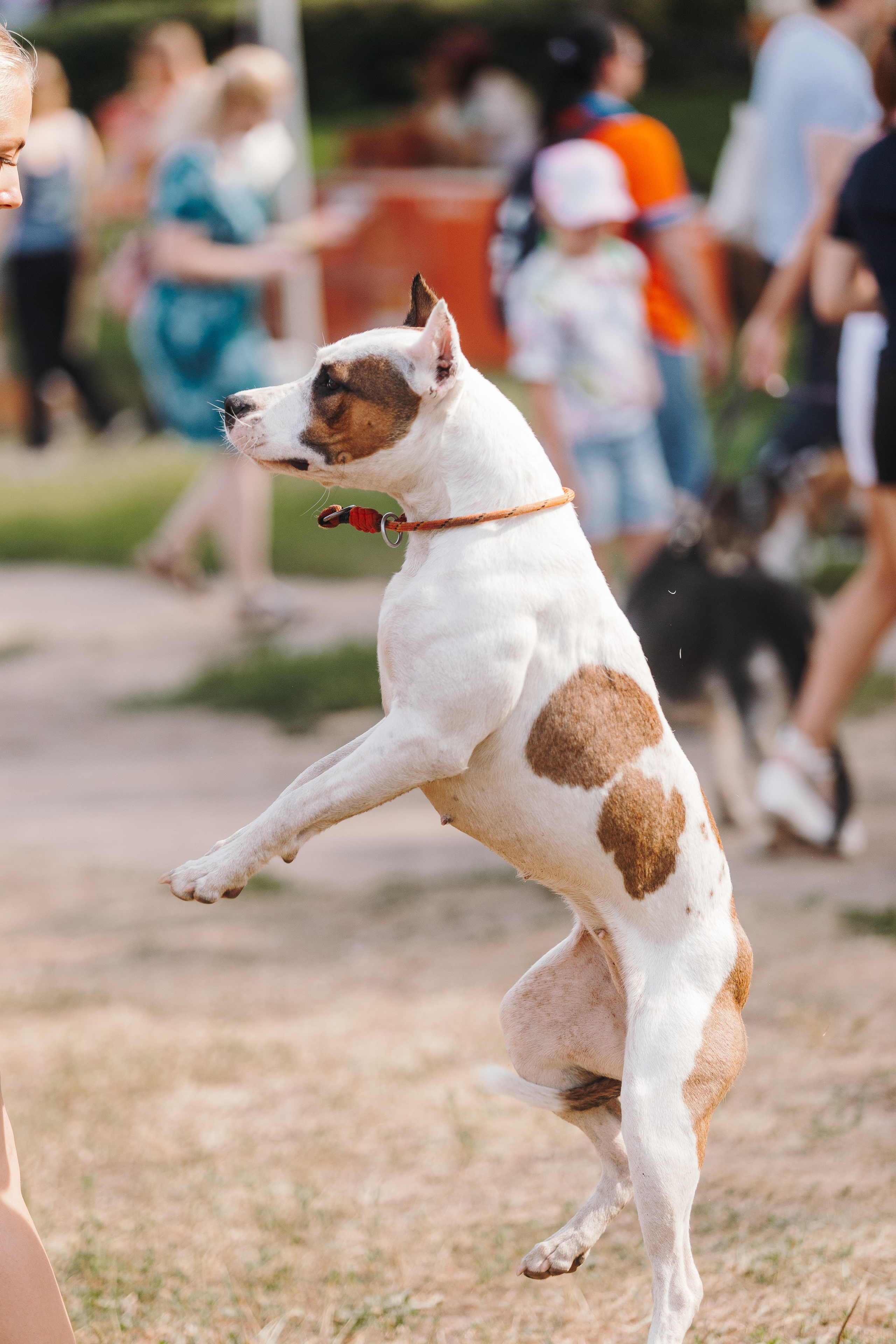 Petshop Sup day. Фотограф анималист Кристина Карпова, Москва