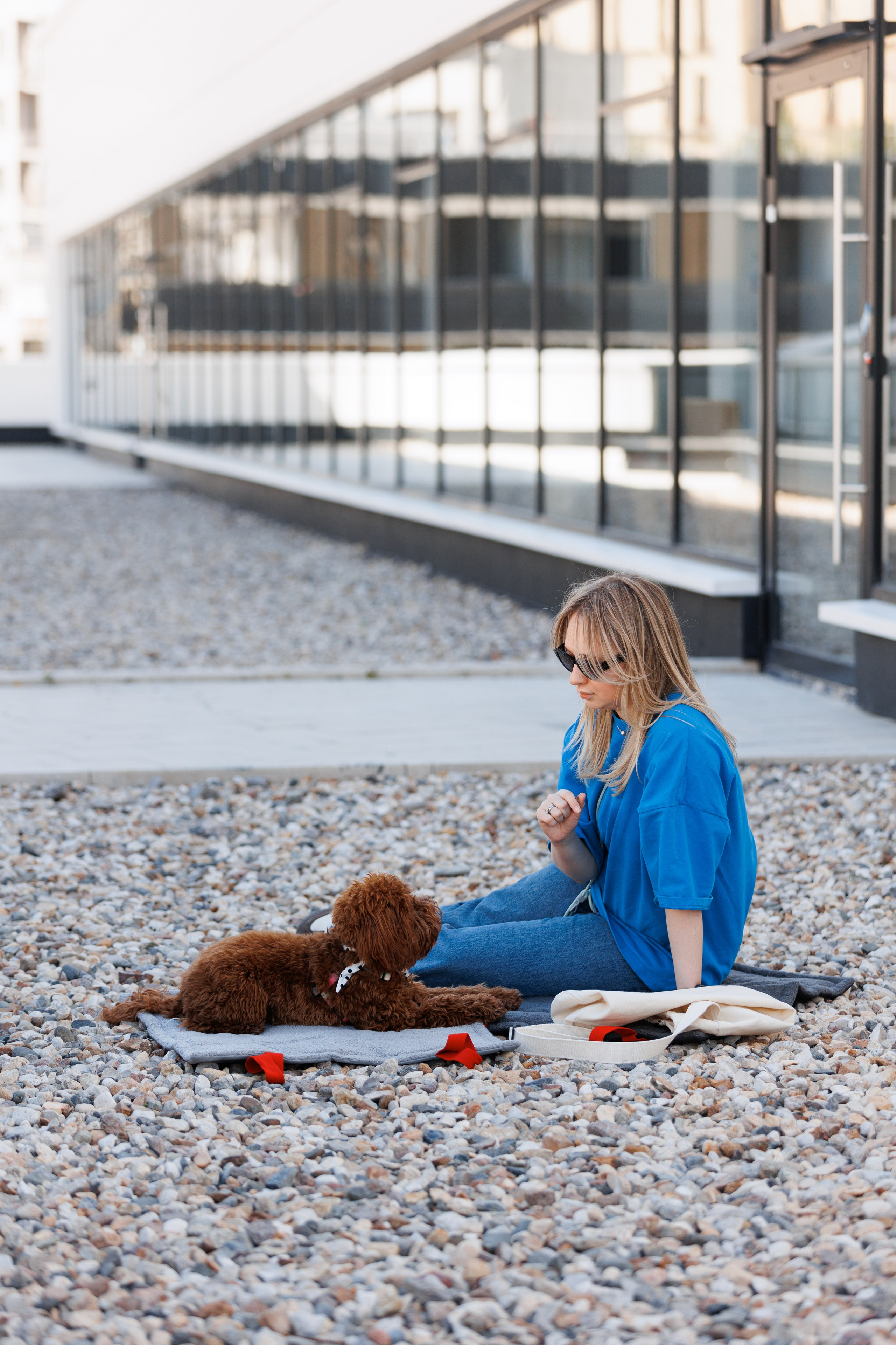 Bmbh городская. Фотограф анималист Кристина Карпова, Москва
