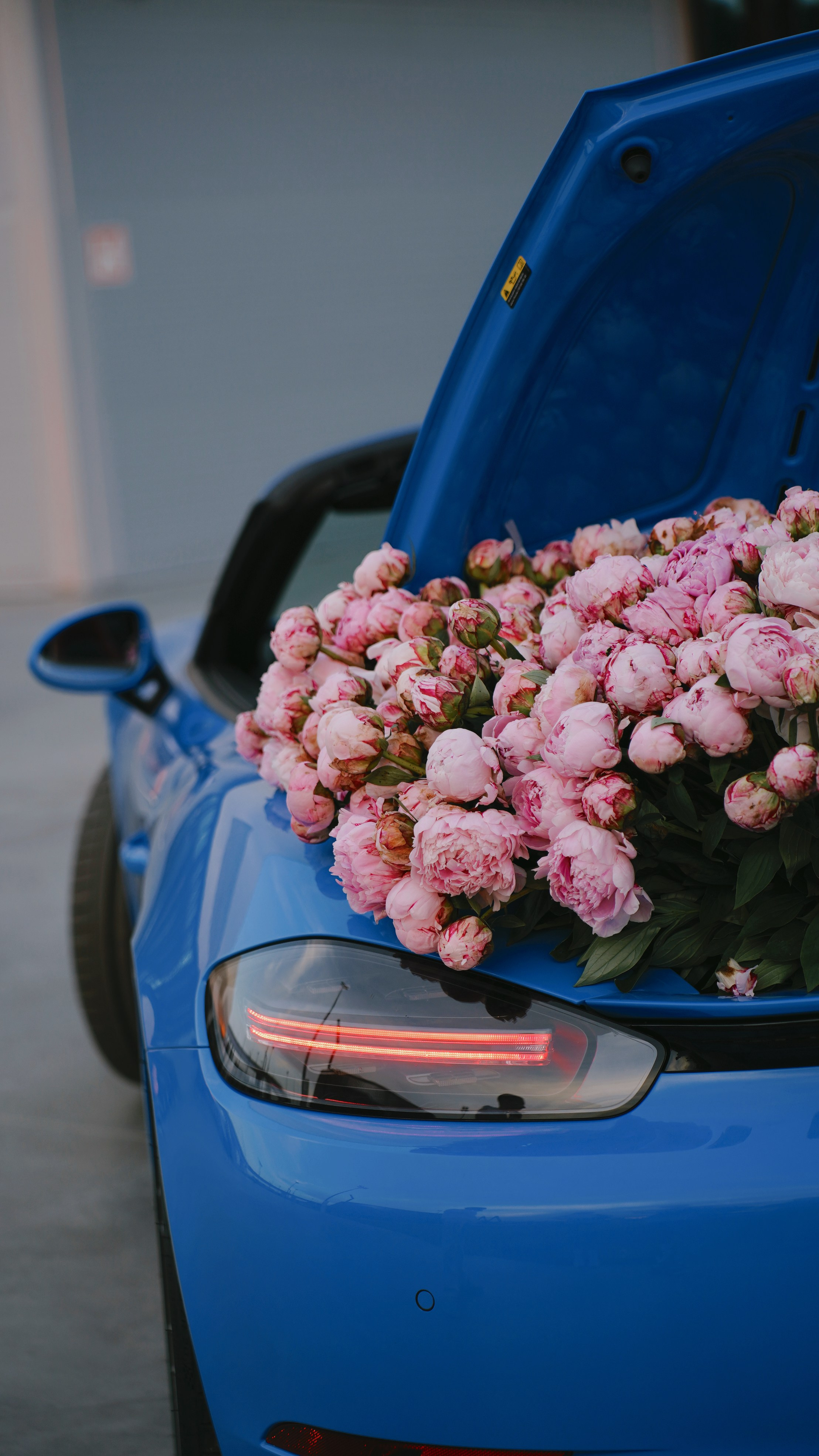 Автомобили. Главная