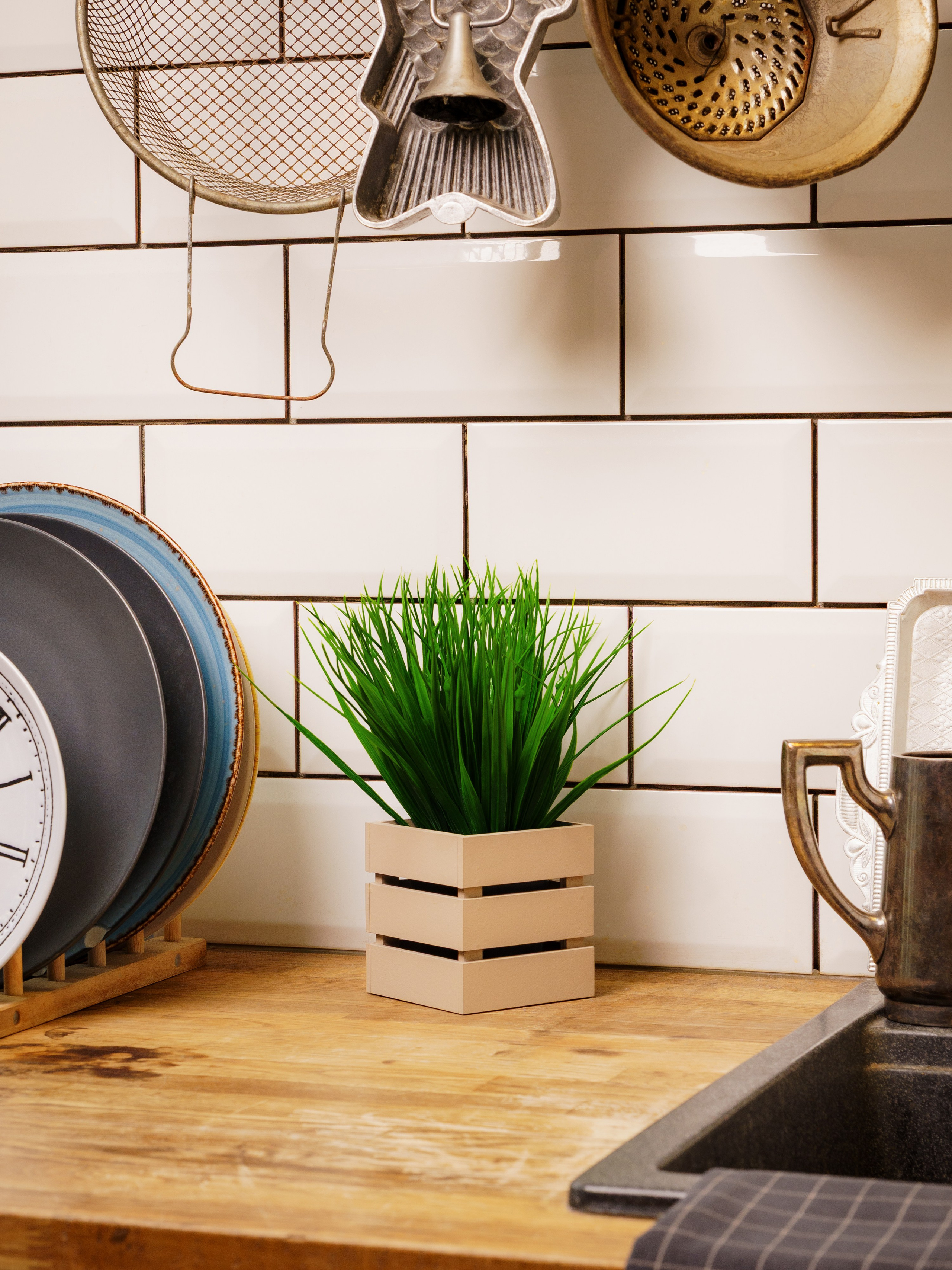 Кашпо. Макаров Сергей|Creamlebot Фотограф города Ростов-на-Дону