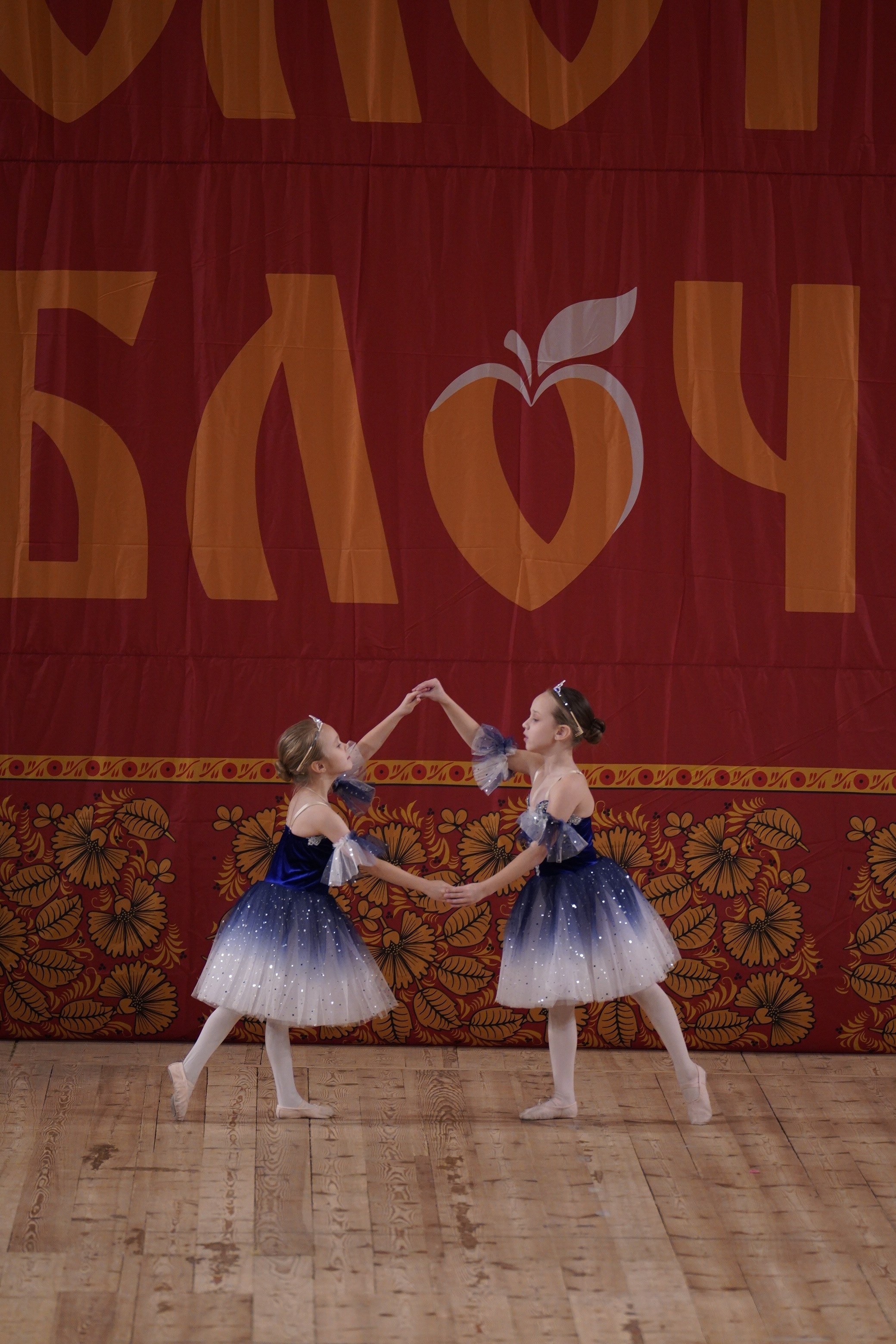 24 ноября, г. Санкт-Петербург. Золотое яблочко