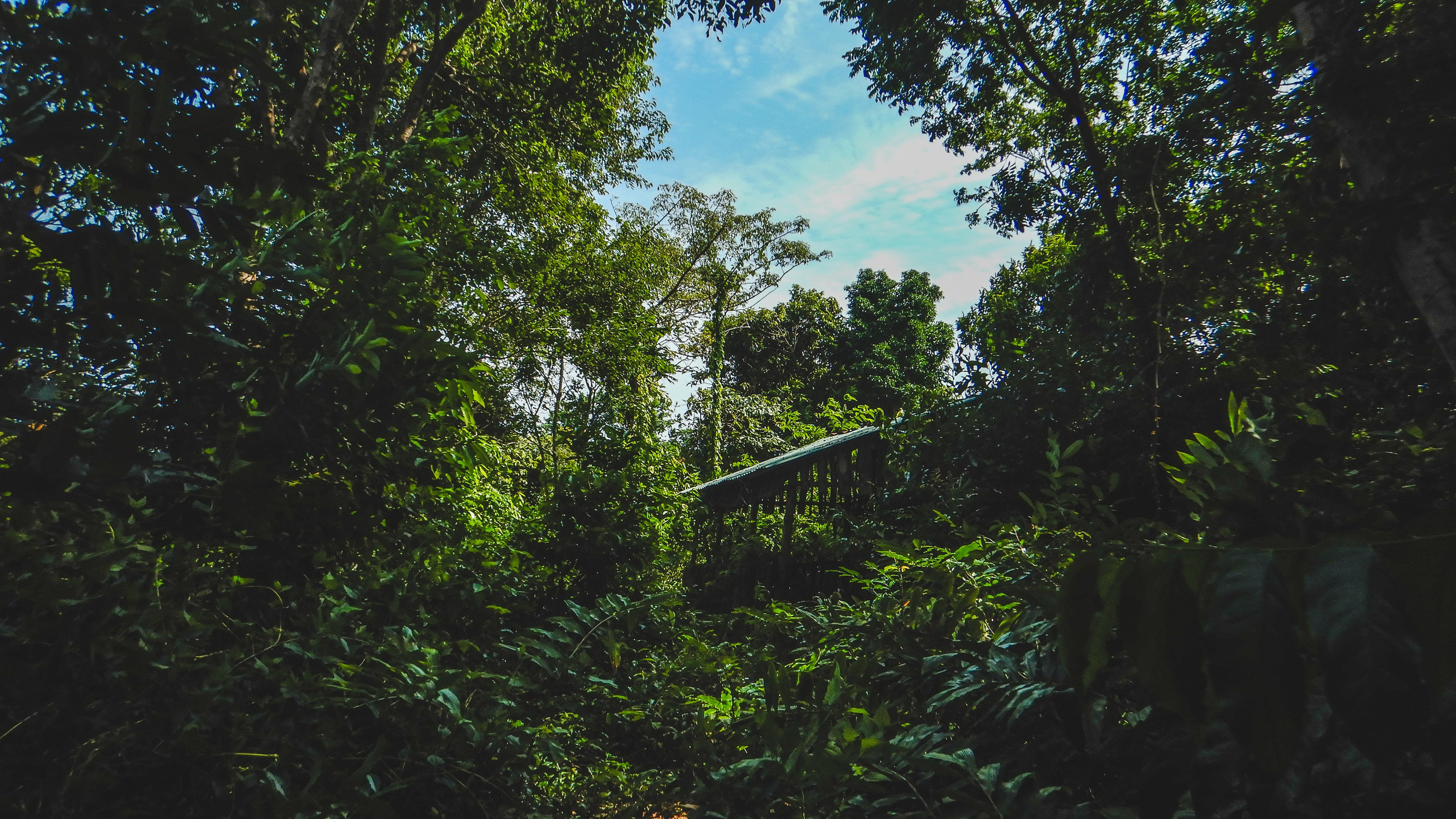 Остров Фукуок, Вьетнам. Фотограф Сергей Кишкель Дананг Нячанг Фукуок