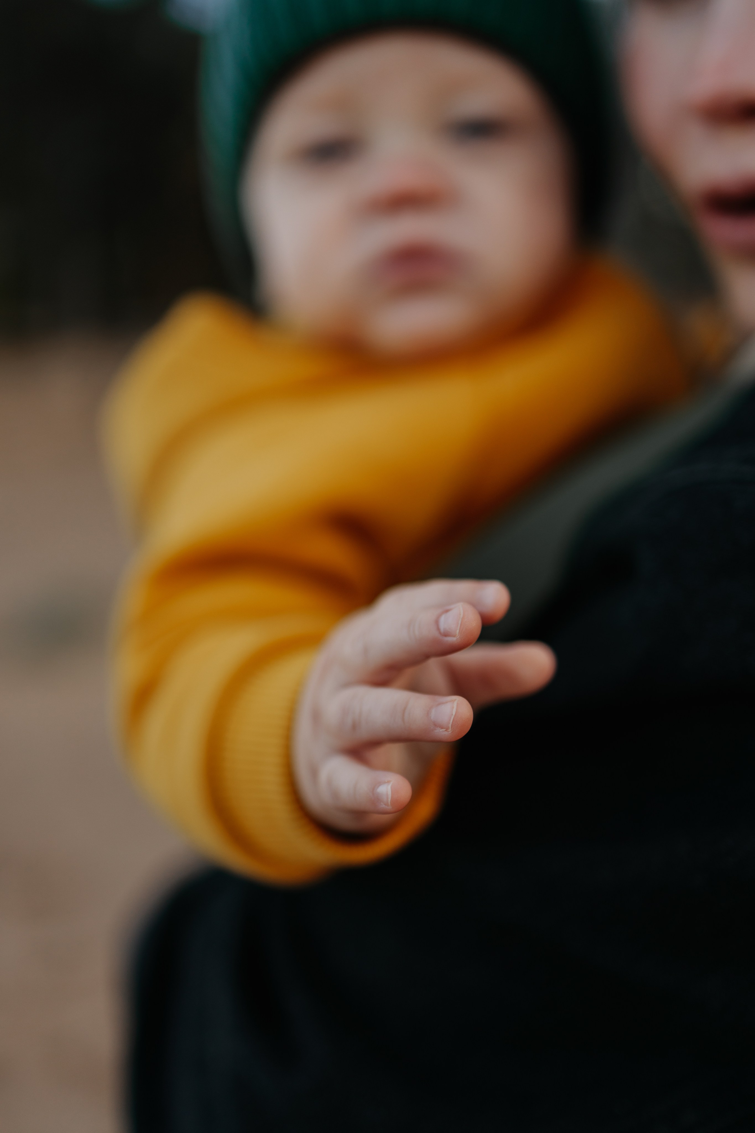 Александра, Алексей, Илья и Тоби. Главная