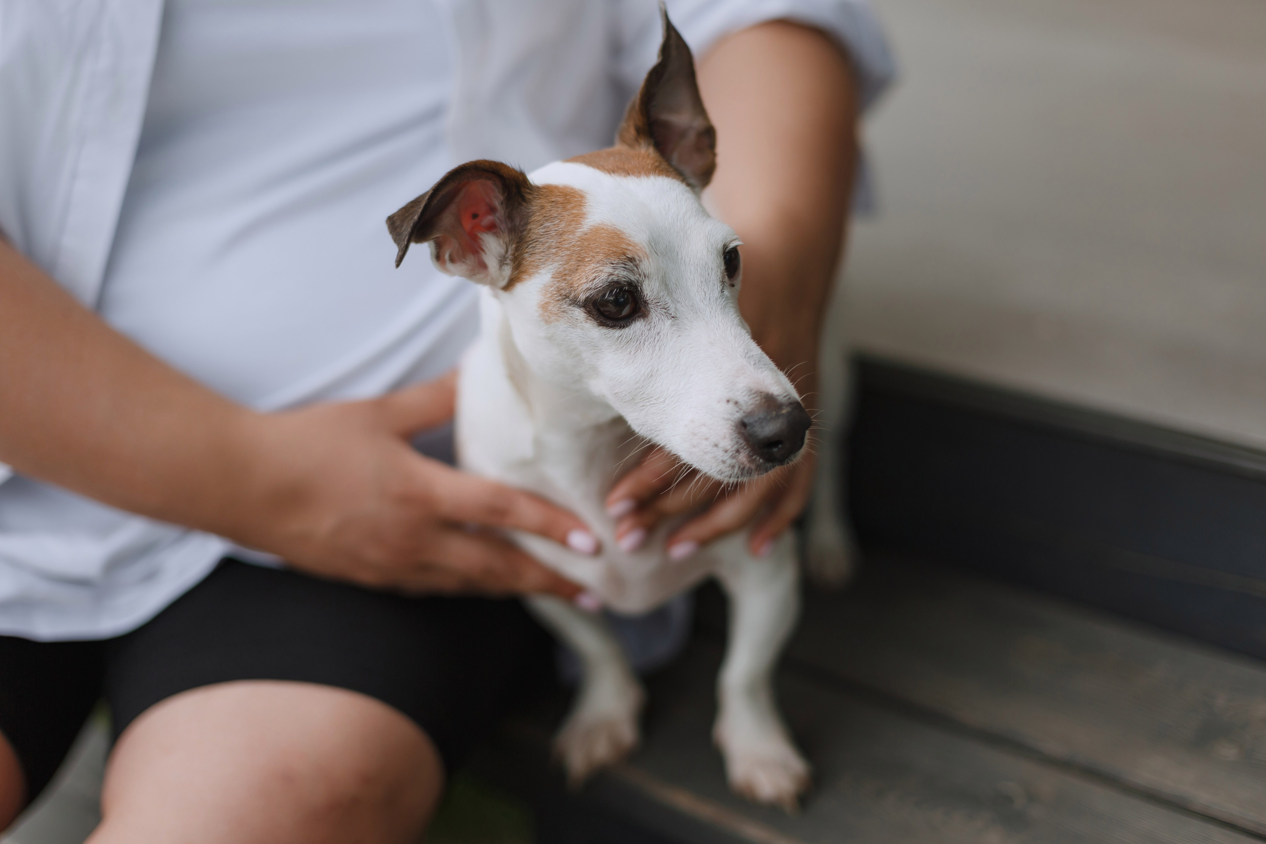 Большое Олино семейство. Профессиональный фотограф Надежда Антонова