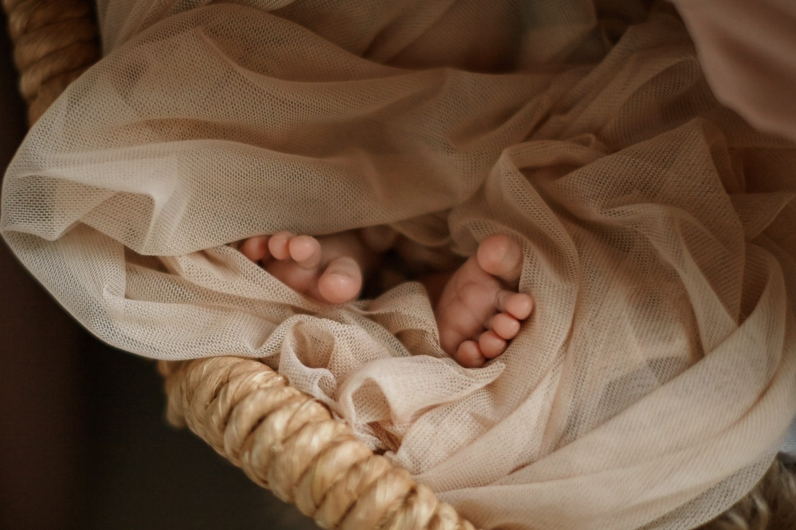 Есения. Фотограф Ольга Ефремова