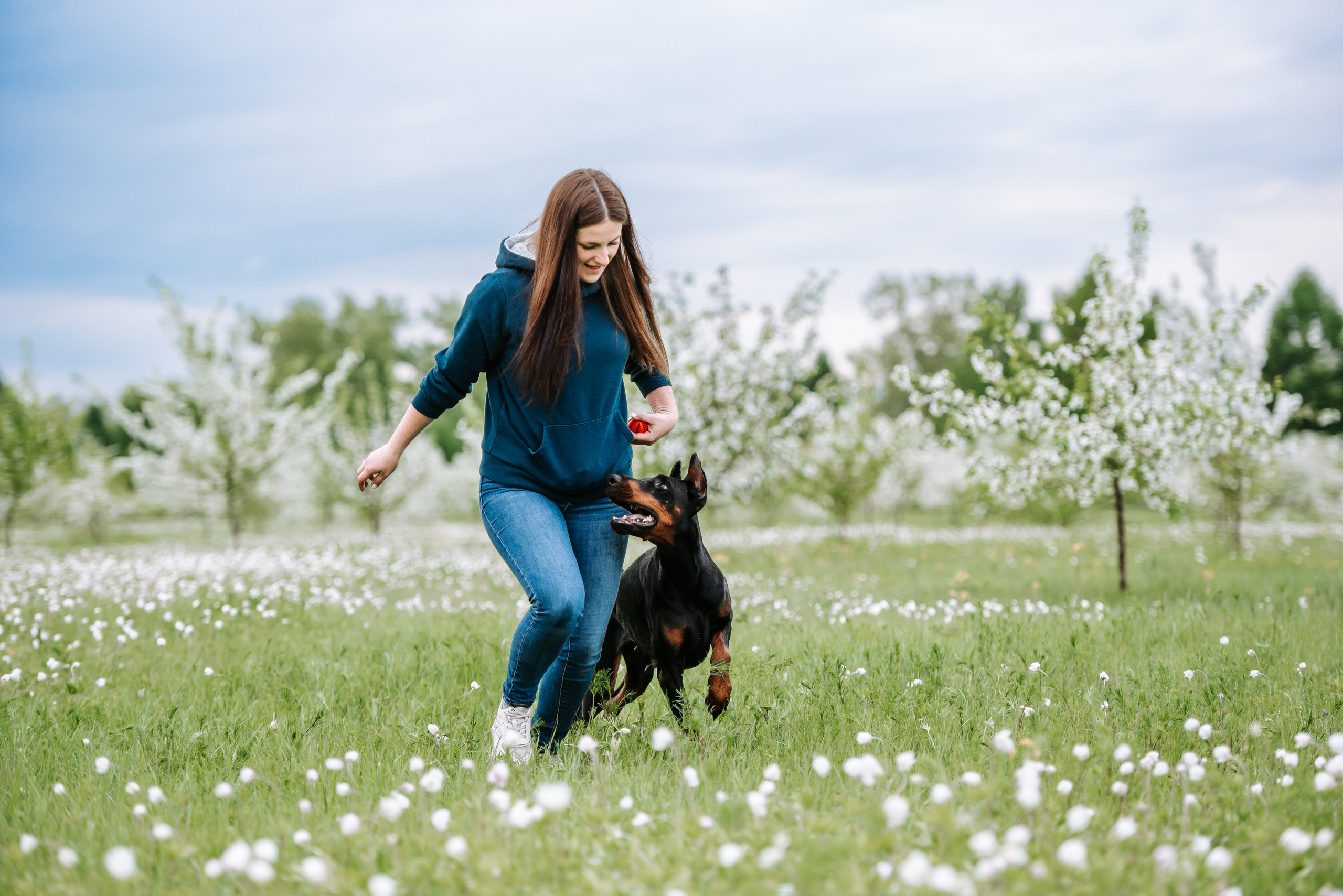 Цветение с доберманами. Фотограф Диана Оленина Красноярск / Братск