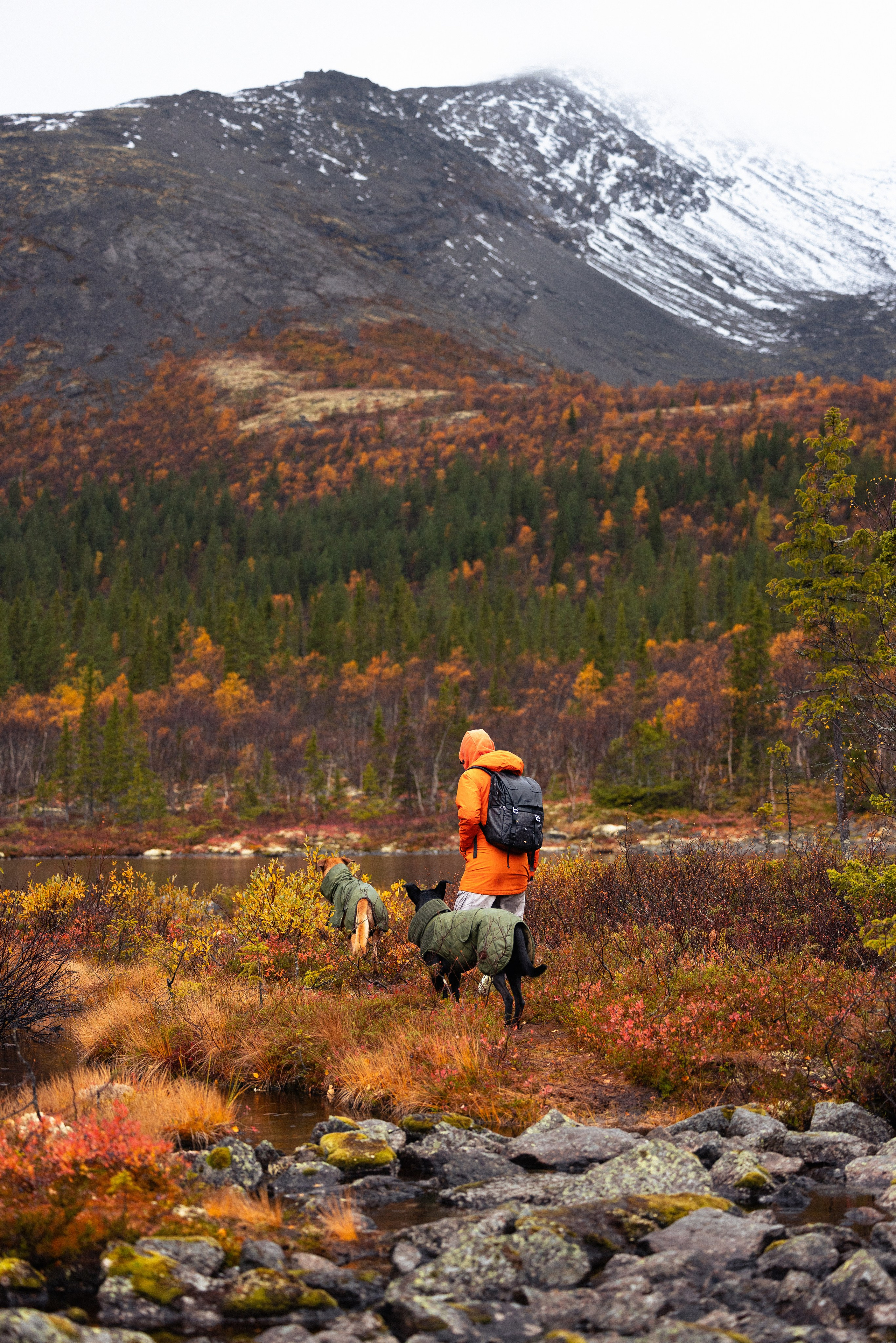 Кольский. Фотограф и видеограф анималист Аганина Дарья