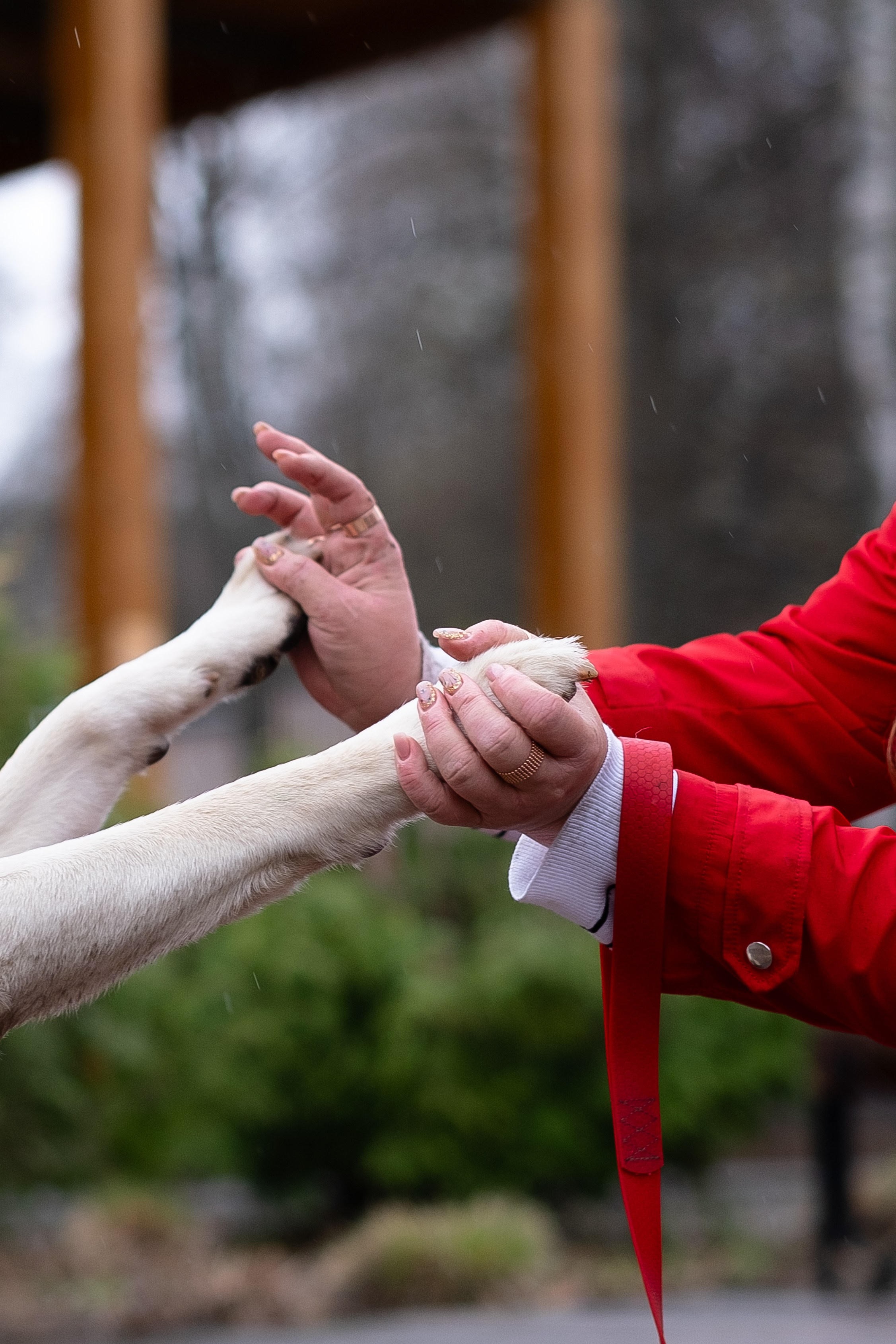 Света и Лето. Фотограф и видеограф анималист Аганина Дарья