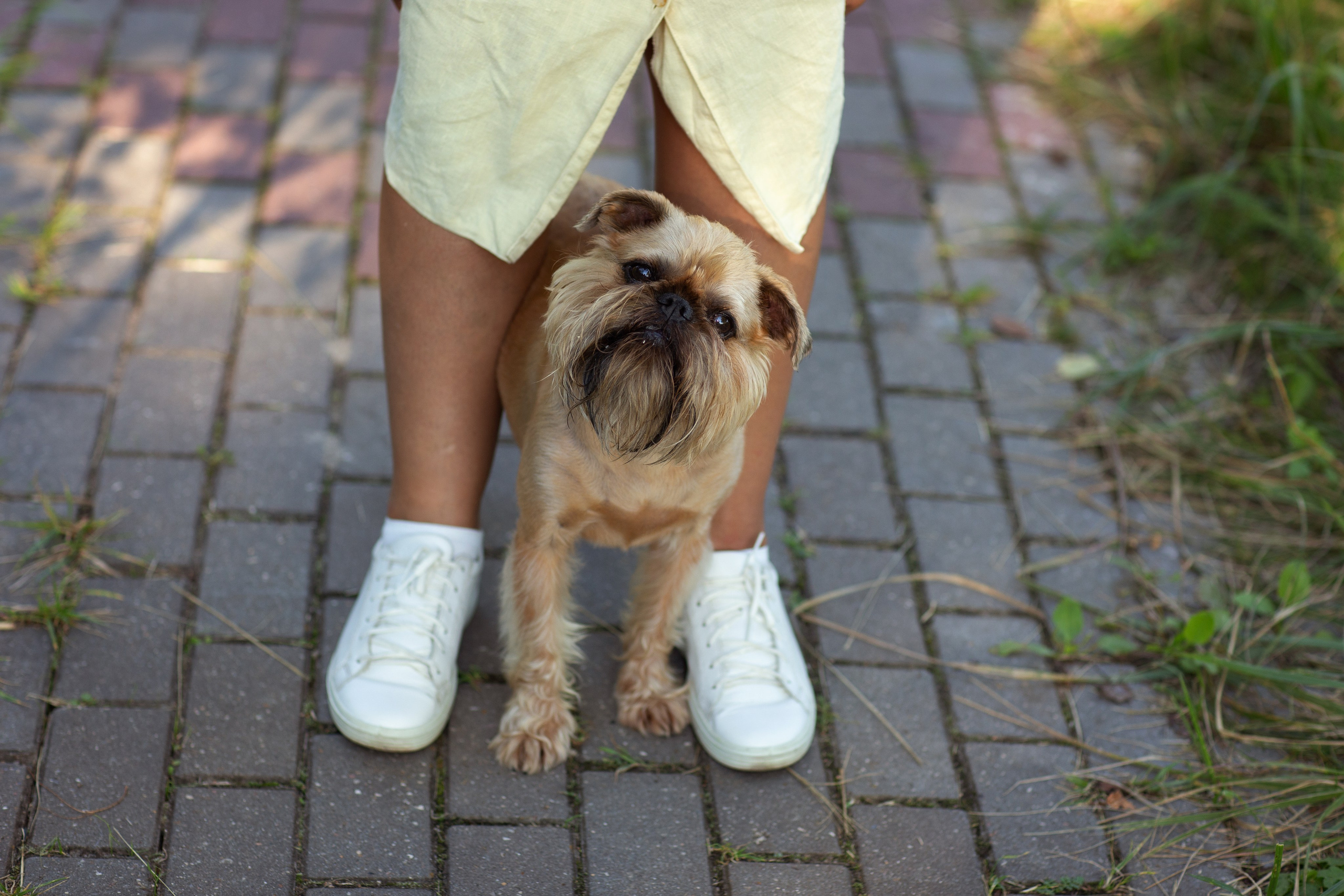 Лена и Барри. Фотограф — Анималист Наталья Тямушева
