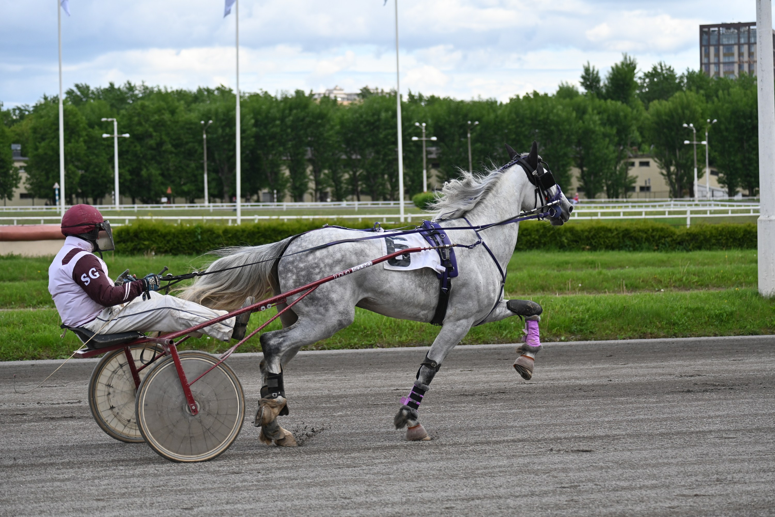 Московский ипподром. Fotolux