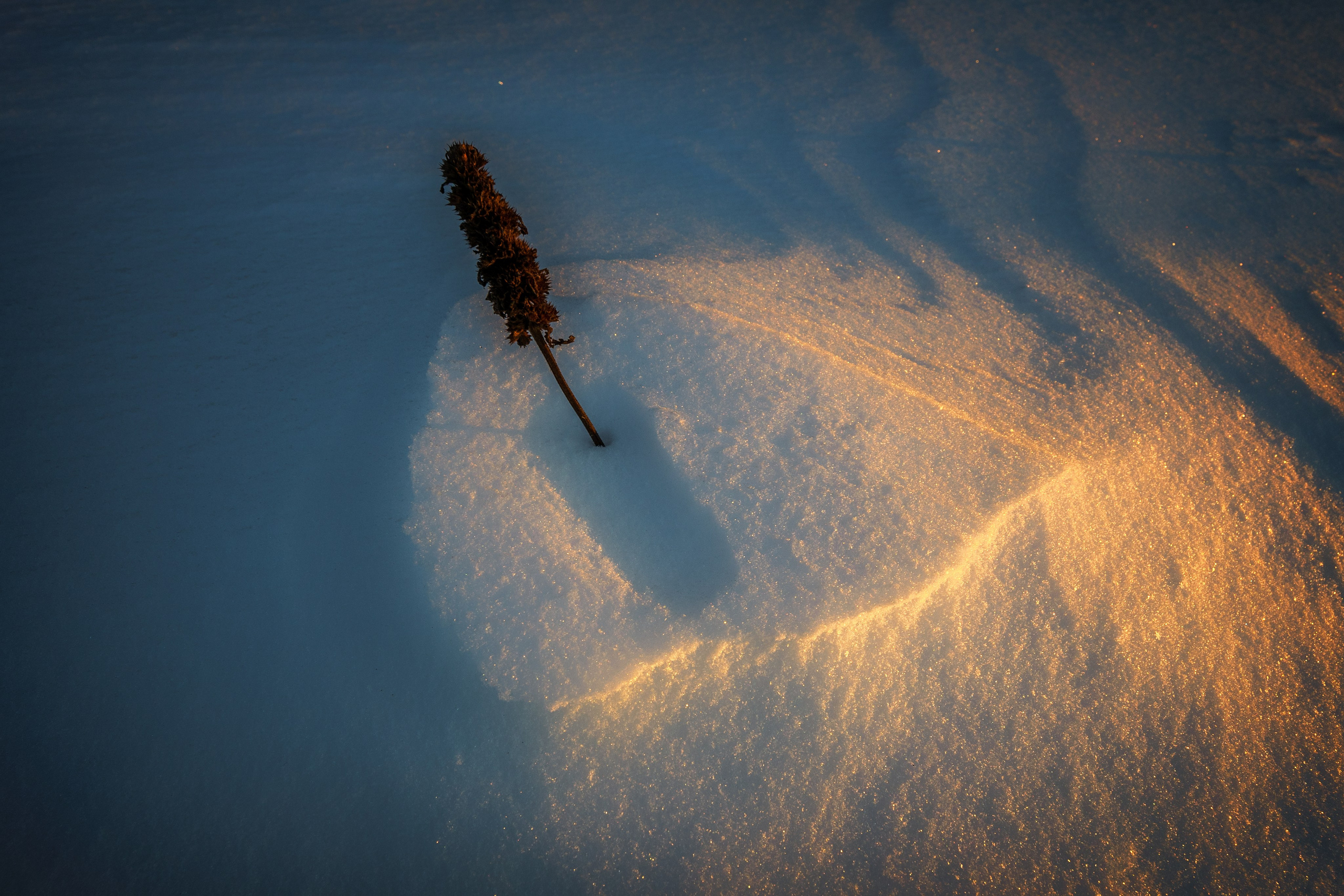 Суворовский район. Фотохудожник Артём Парамонов