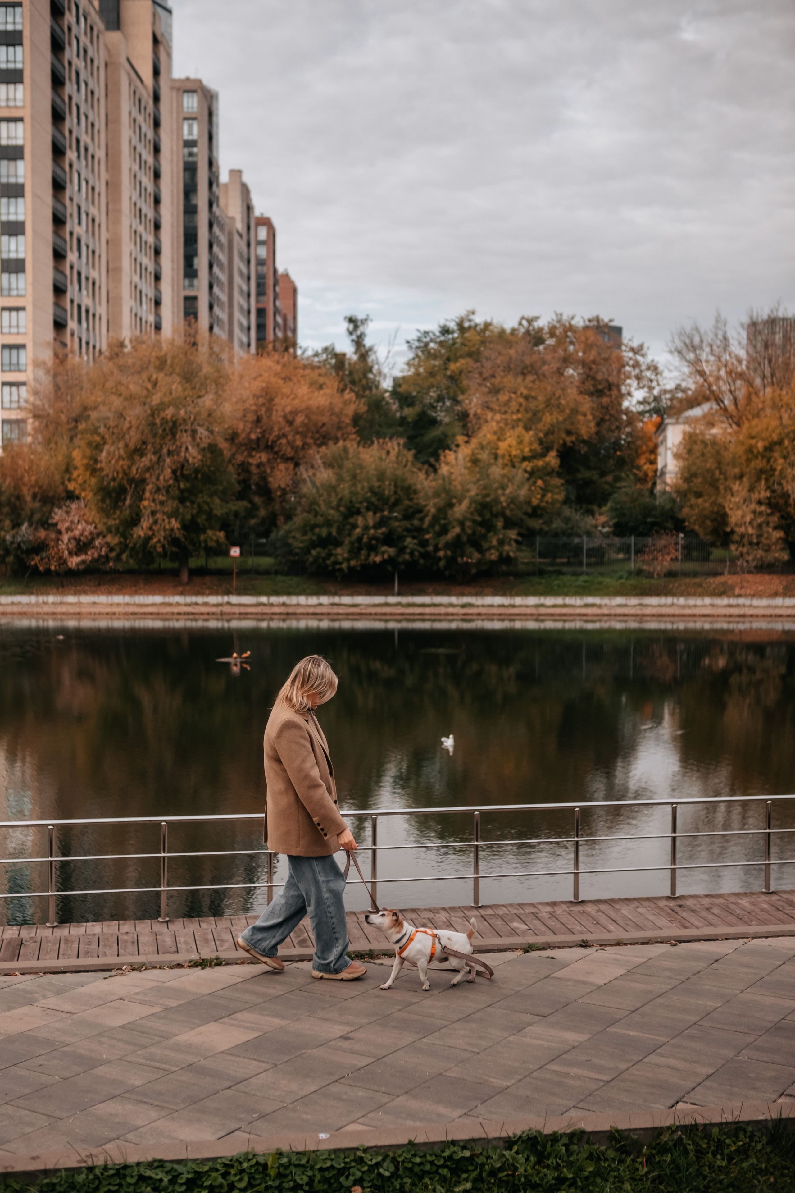 Татьяна и Боб Дилан. Осення прогулка. Семейный фотограф анималист Мария Крючкова