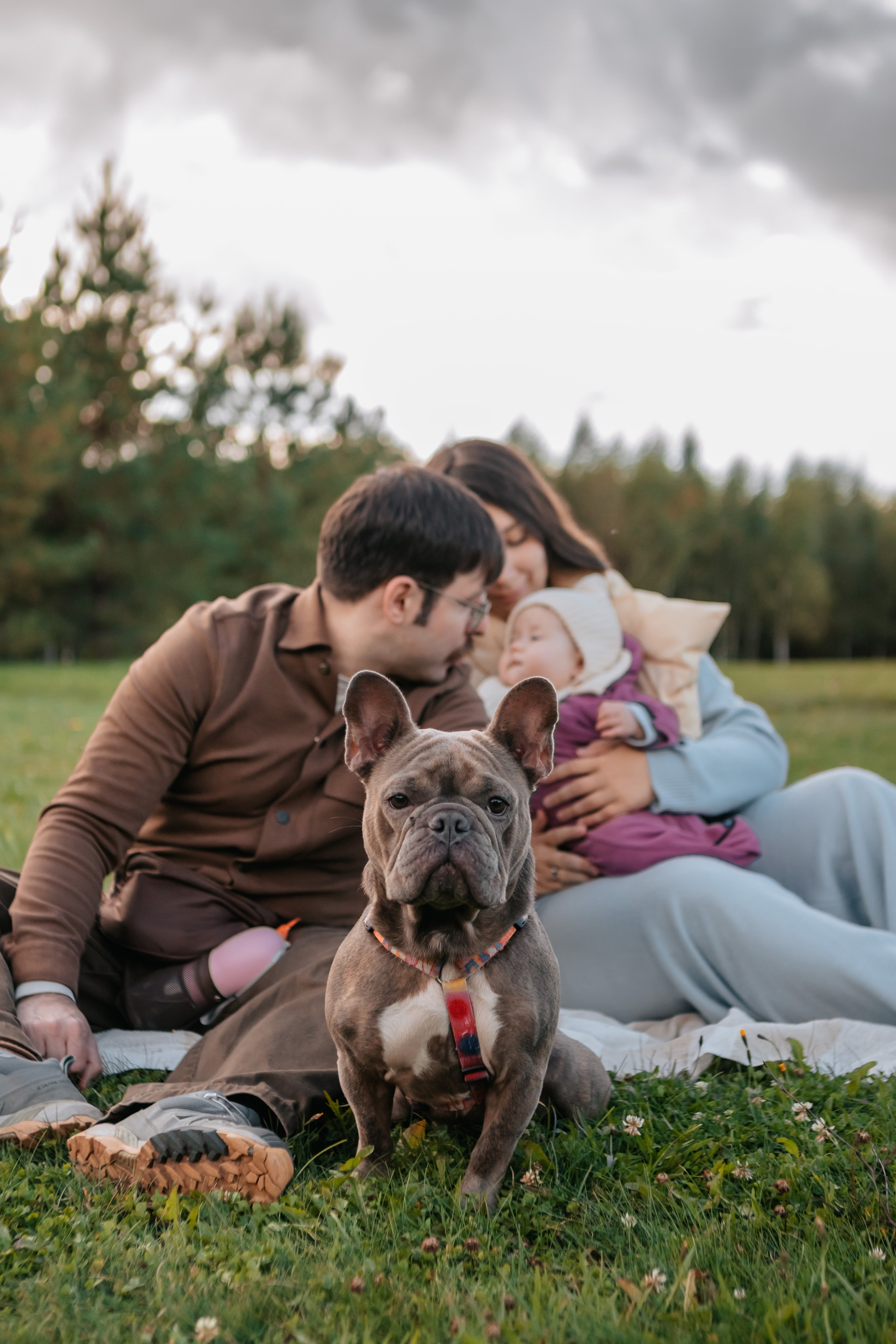 Габи и семья. Прогулка в Мещерском парке. Семейный фотограф анималист Мария Крючкова