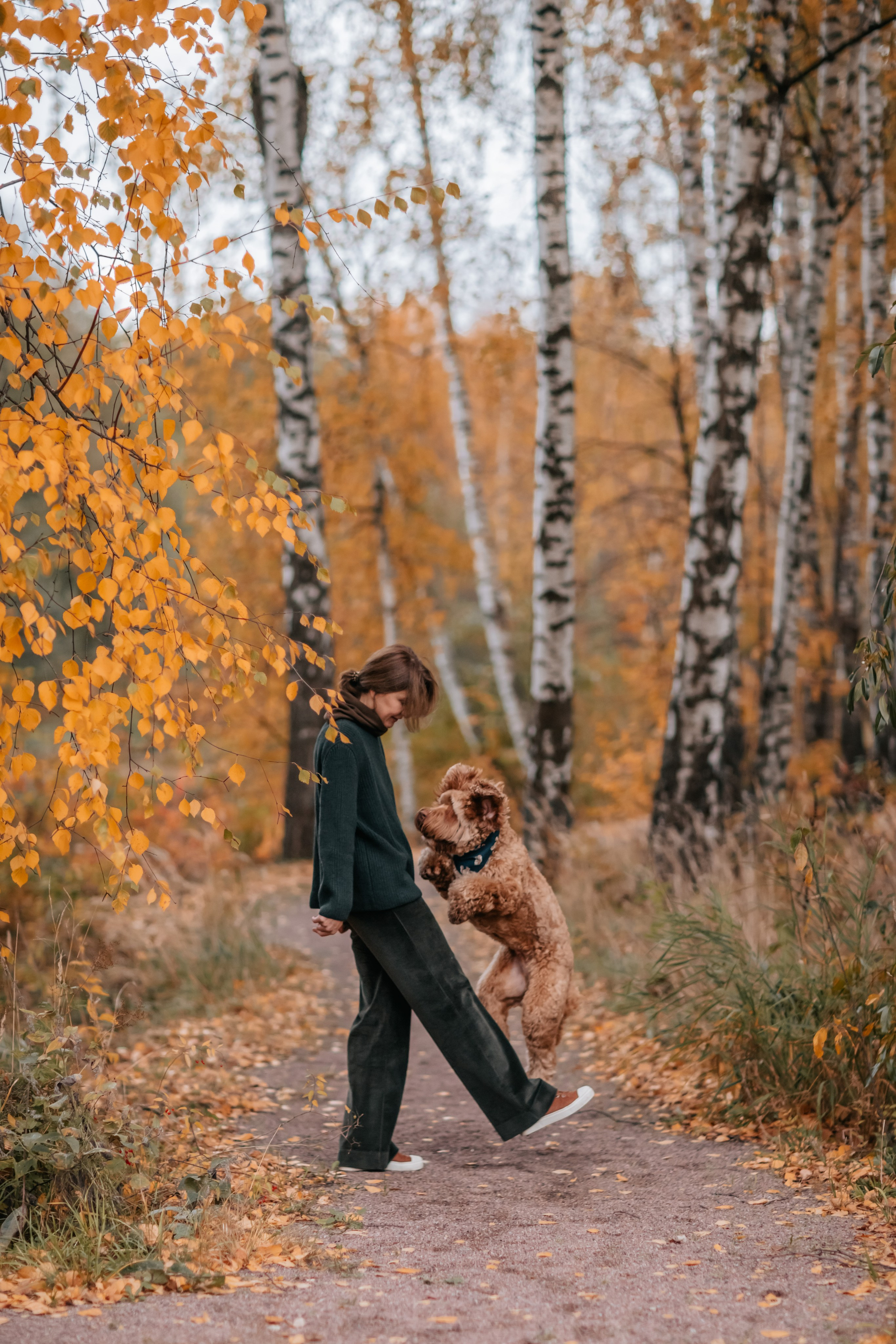 Алла, Евгения, Чаплин, Лиза и Дюшес, осенняя прогулка. Семейный фотограф анималист Мария Крючкова