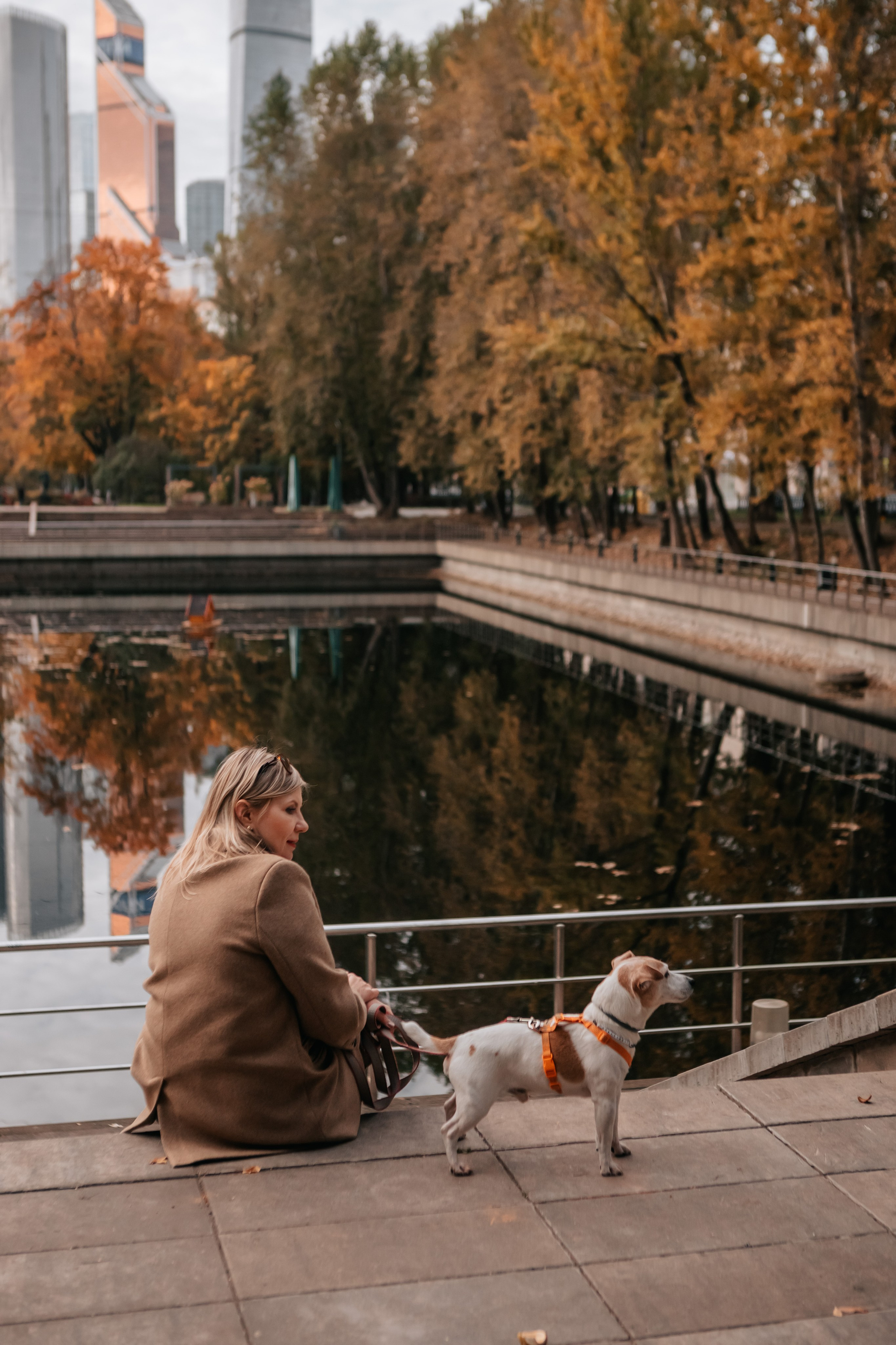 Татьяна и Боб Дилан. Осення прогулка. Семейный фотограф анималист Мария Крючкова