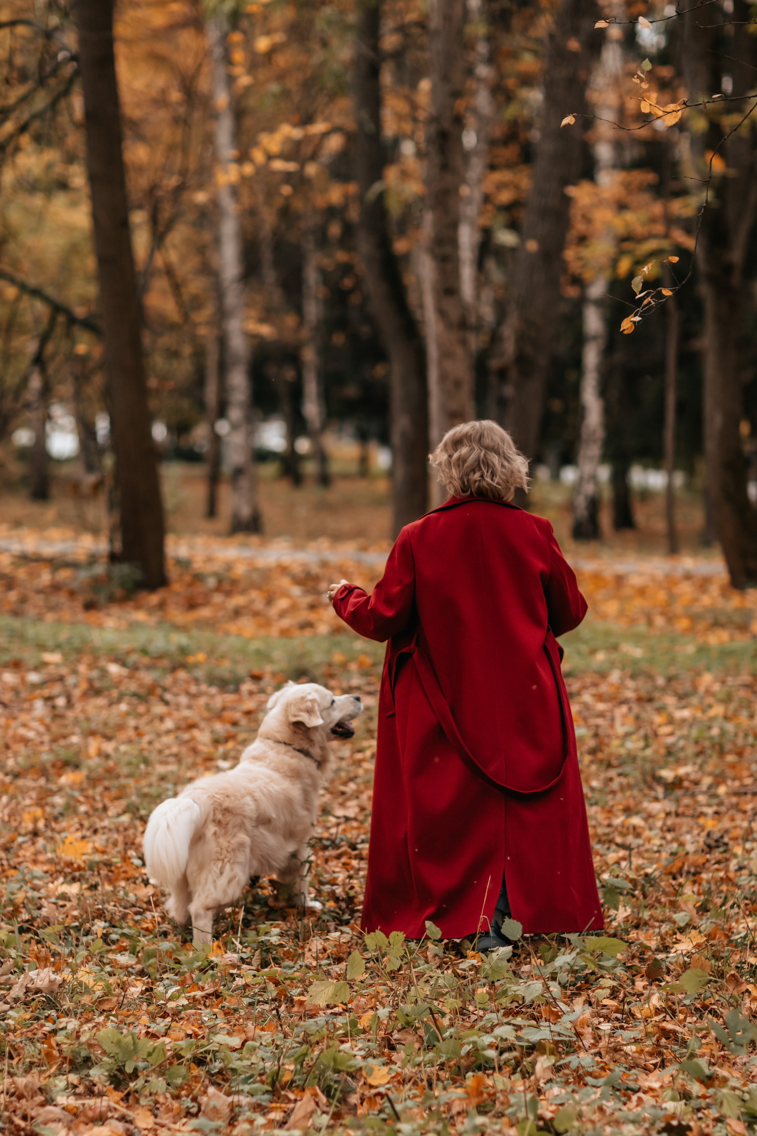 Рэм и семья, прогулка в осеннем парке. Семейный фотограф анималист Мария Крючкова