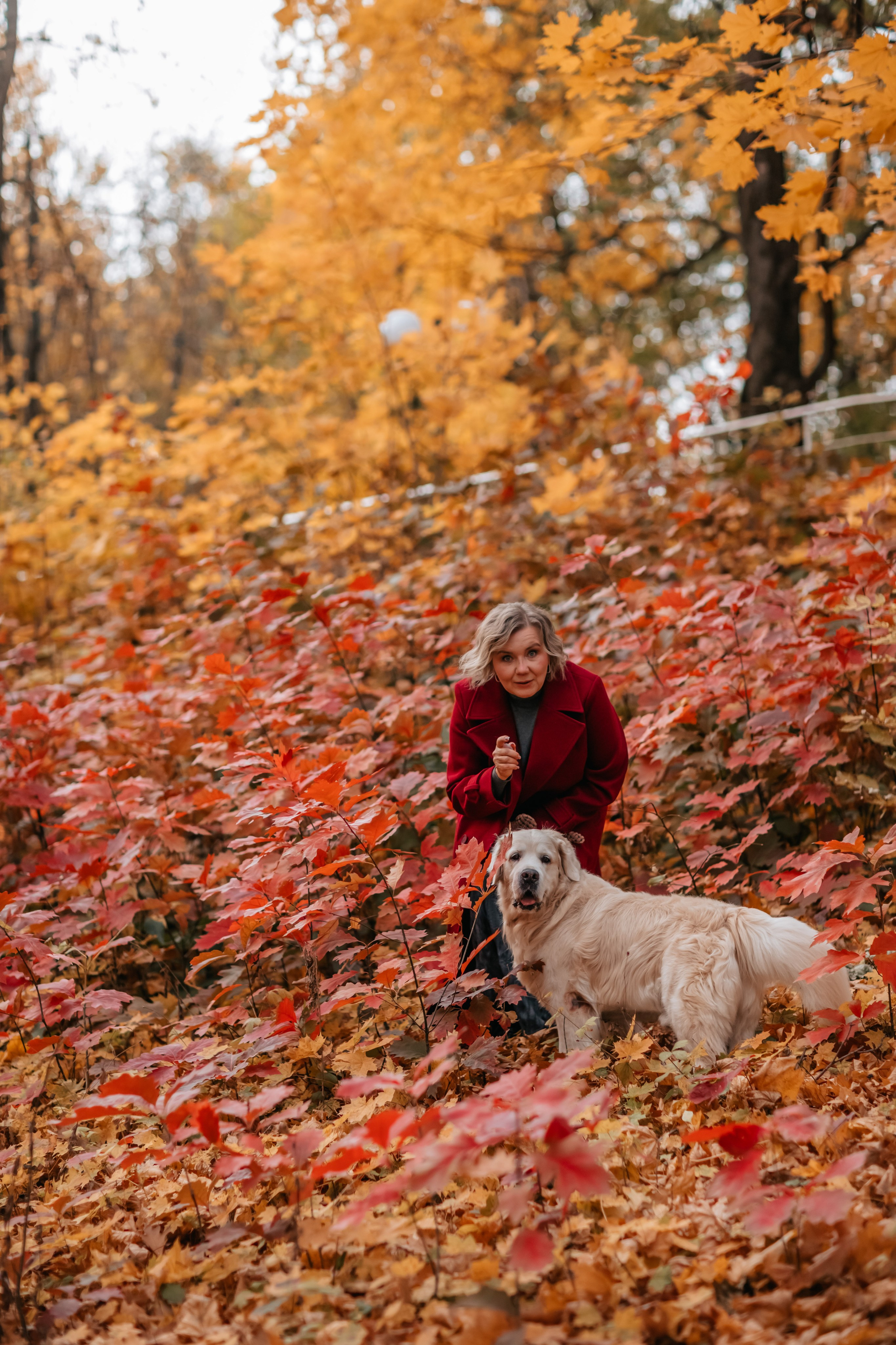 Рэм и семья, прогулка в осеннем парке. Семейный фотограф анималист Мария Крючкова