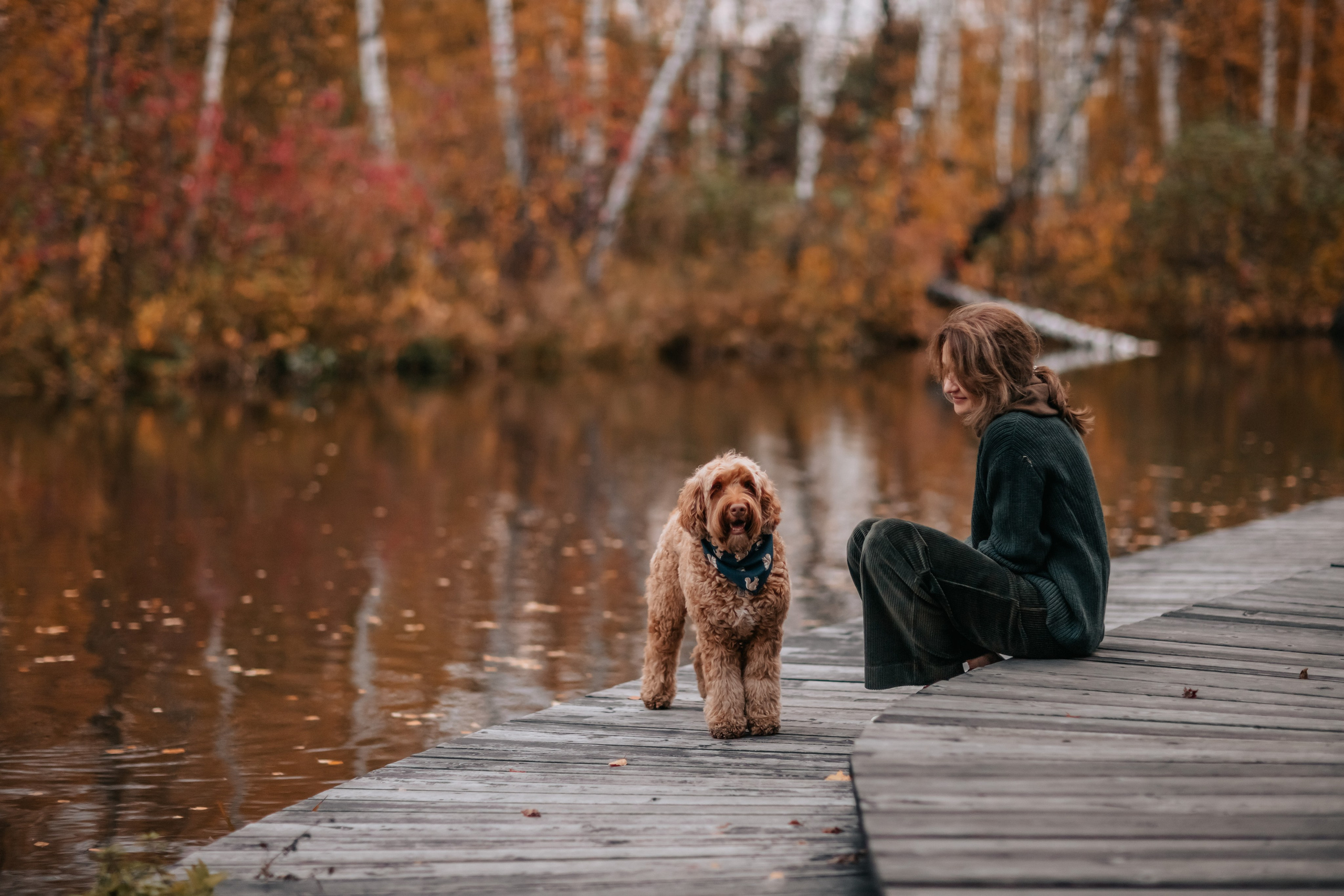 Алла, Евгения, Чаплин, Лиза и Дюшес, осенняя прогулка. Семейный фотограф анималист Мария Крючкова
