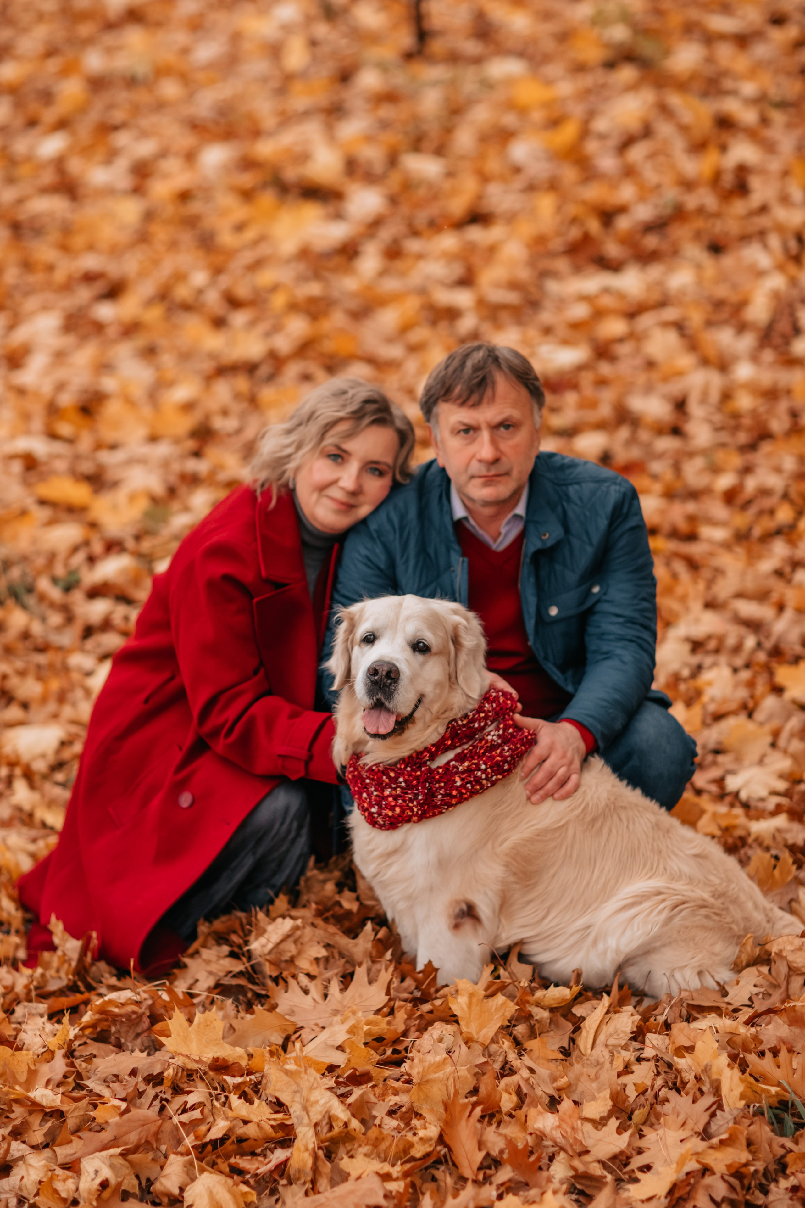Рэм и семья, прогулка в осеннем парке. Семейный фотограф анималист Мария Крючкова