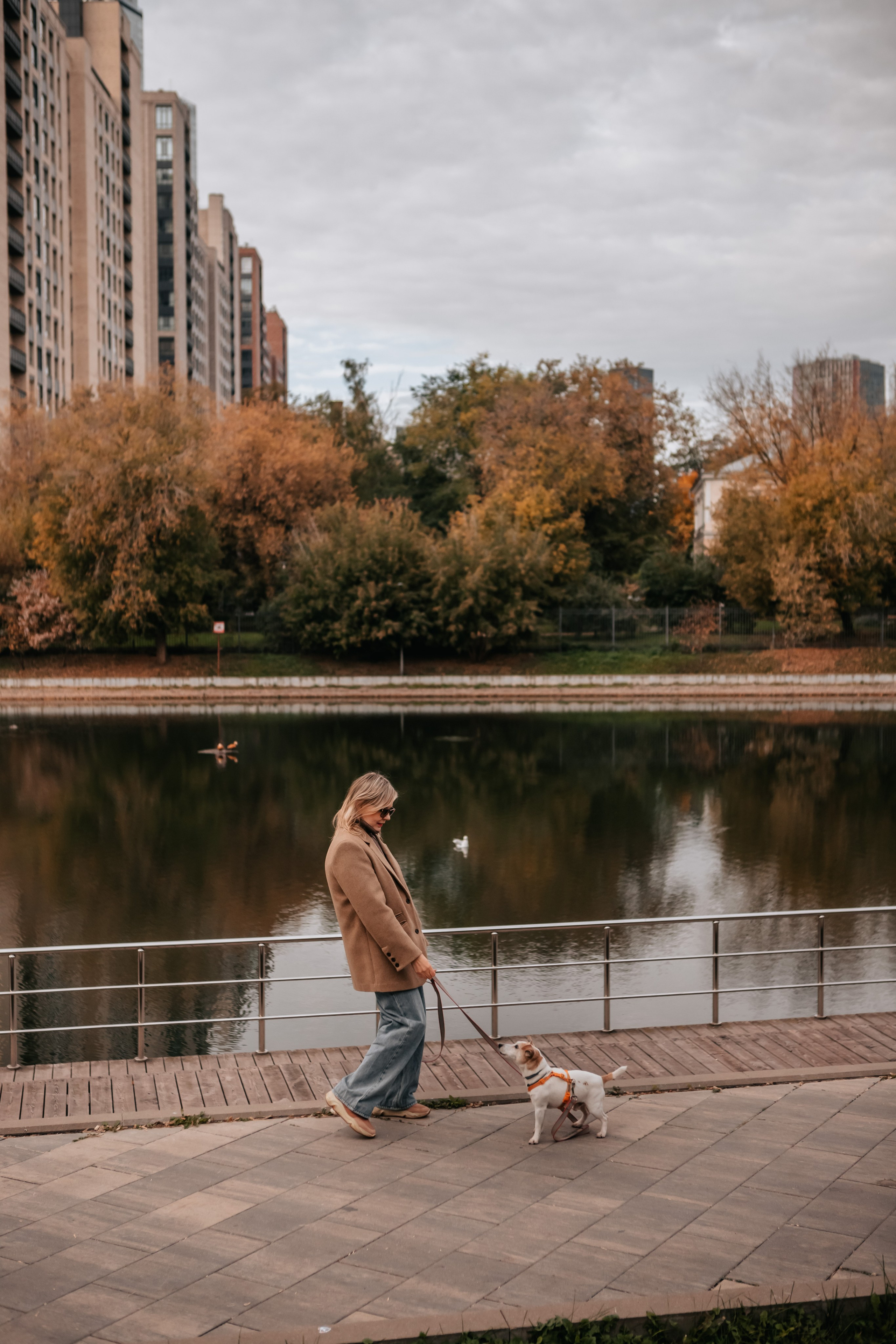 Татьяна и Боб Дилан. Осення прогулка. Семейный фотограф анималист Мария Крючкова