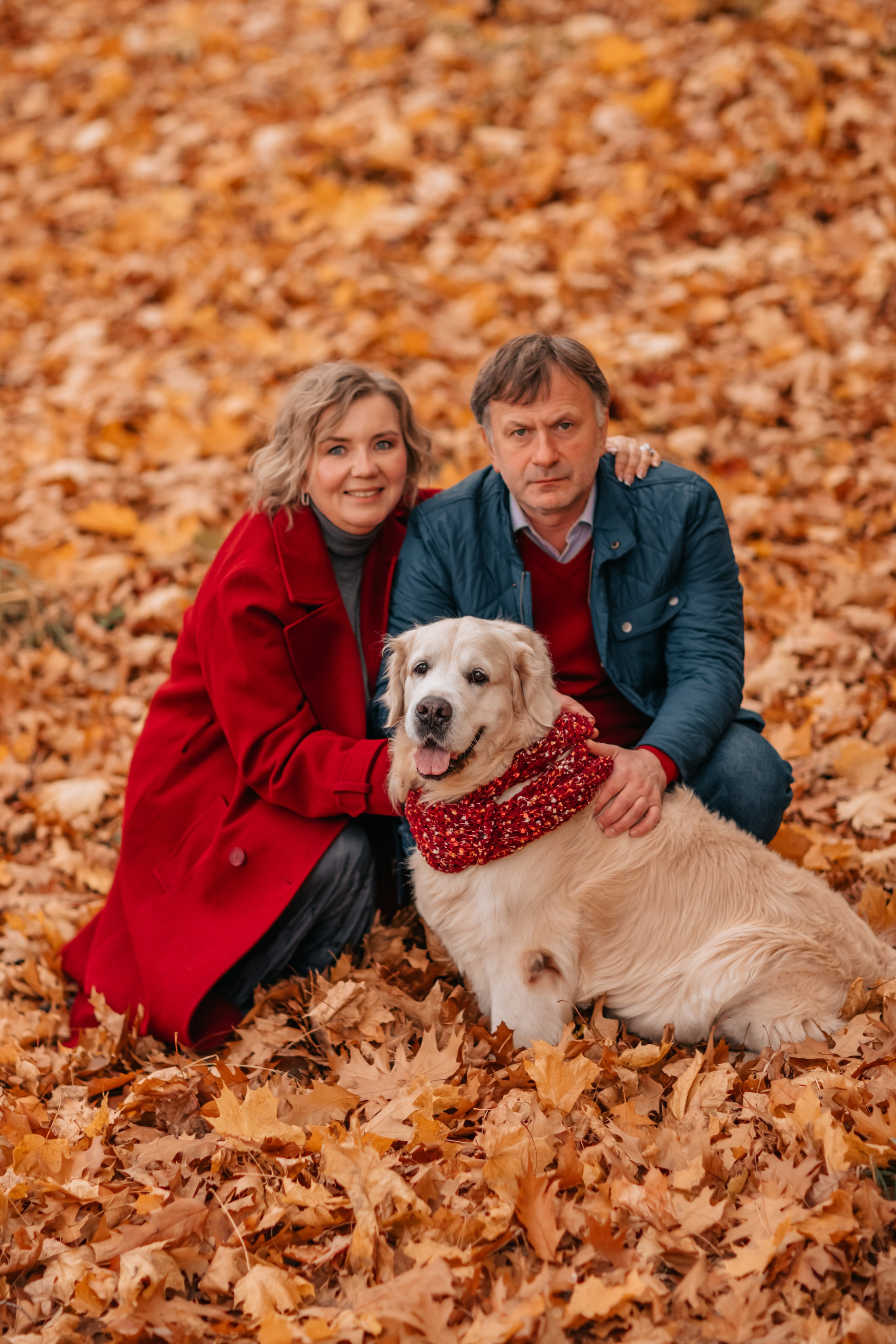 Рэм и семья, прогулка в осеннем парке. Семейный фотограф анималист Мария Крючкова