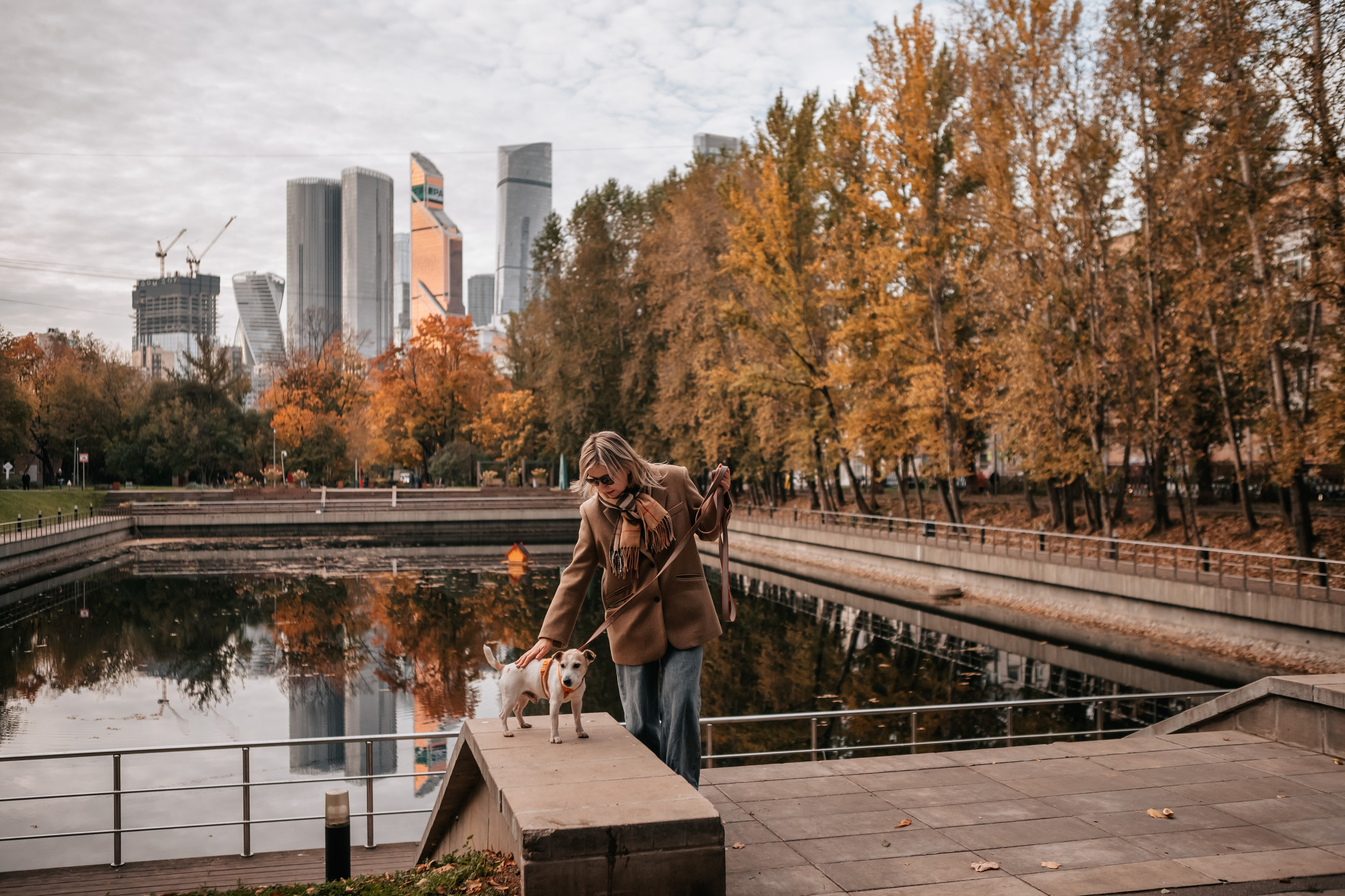 Татьяна и Боб Дилан. Осення прогулка. Семейный фотограф анималист Мария Крючкова
