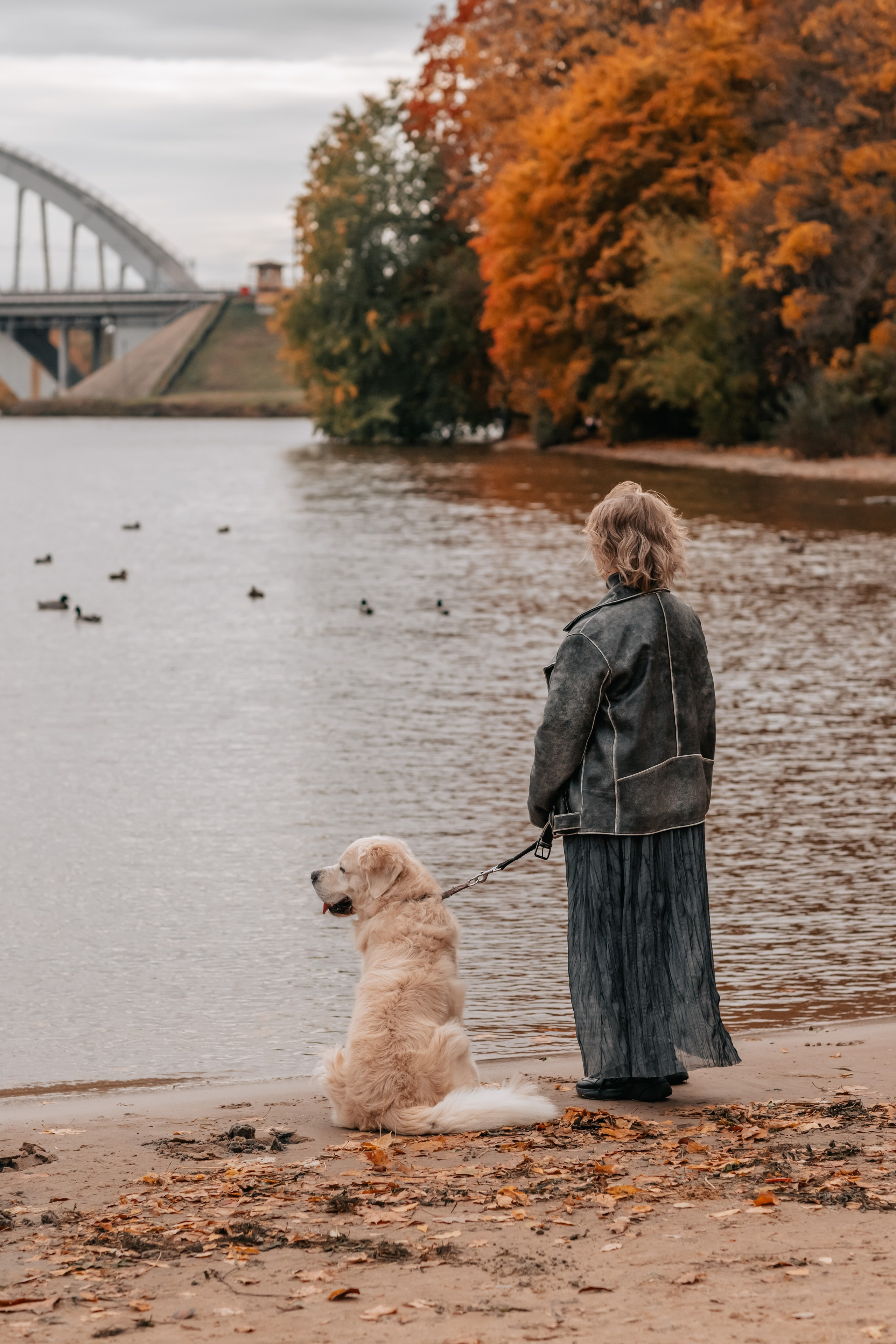 Рэм и семья, прогулка в осеннем парке. Семейный фотограф анималист Мария Крючкова