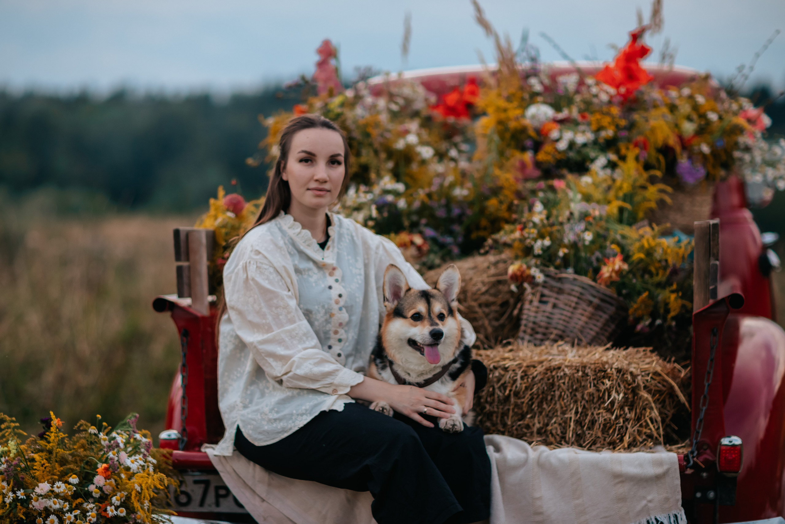 Коди и семья. Семейный фотограф анималист Мария Крючкова