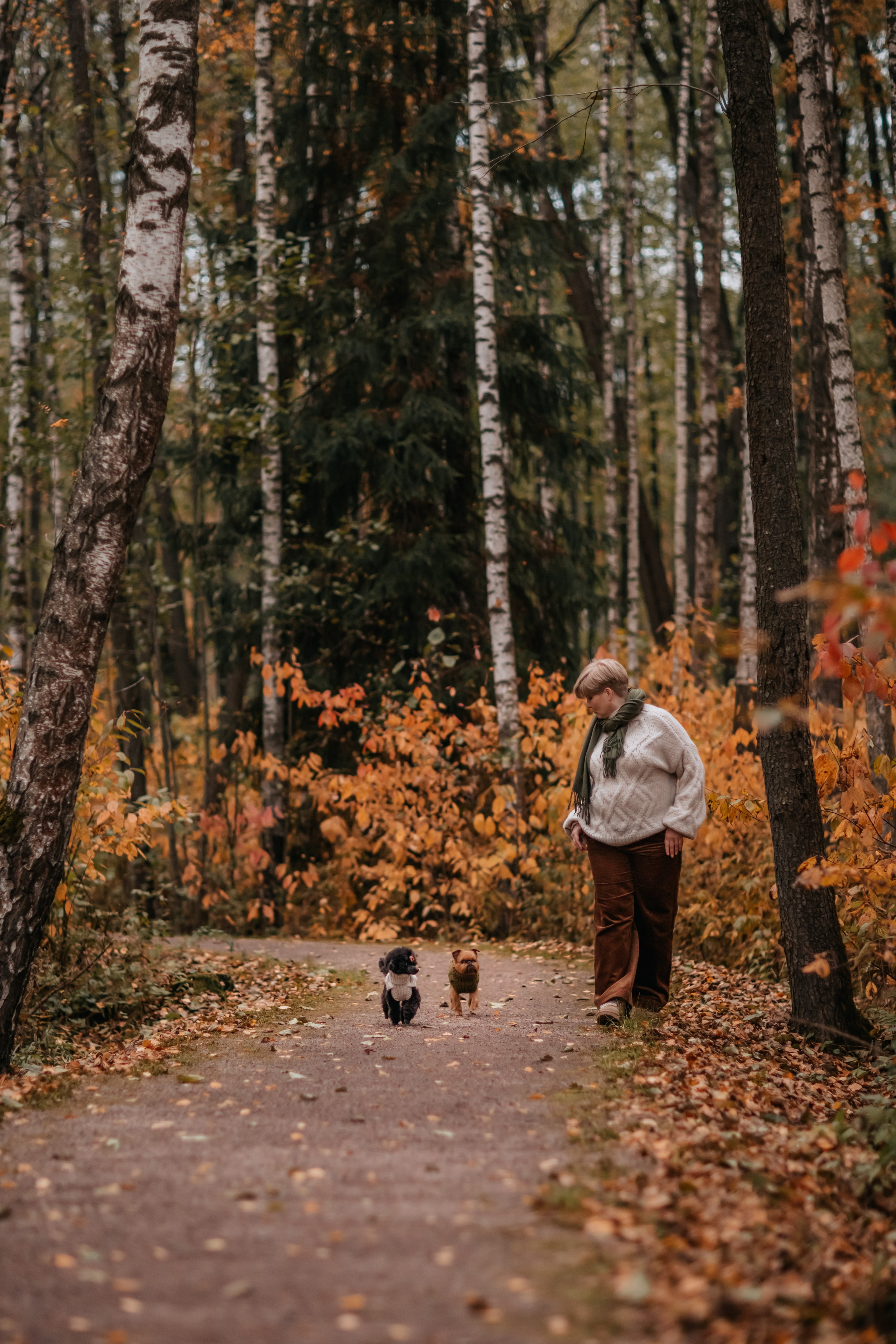 Алла, Евгения, Чаплин, Лиза и Дюшес, осенняя прогулка. Семейный фотограф анималист Мария Крючкова
