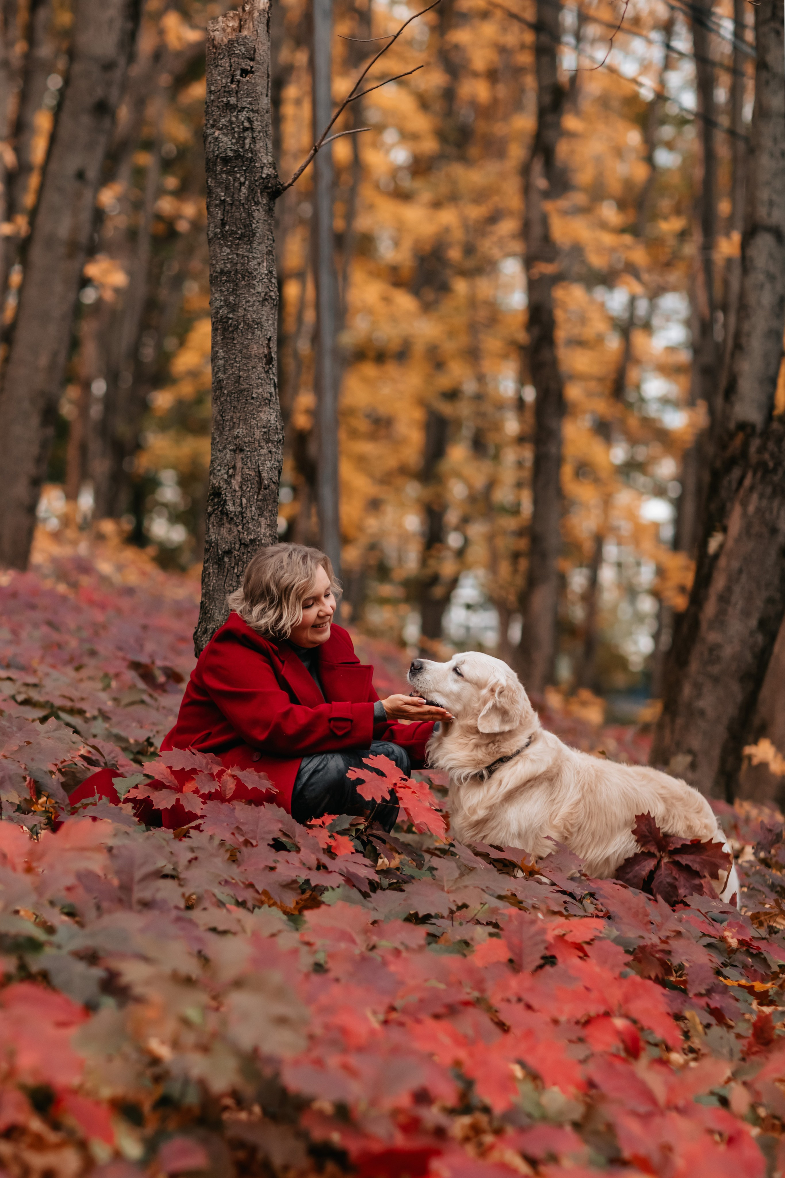 Рэм и семья, прогулка в осеннем парке. Семейный фотограф анималист Мария Крючкова