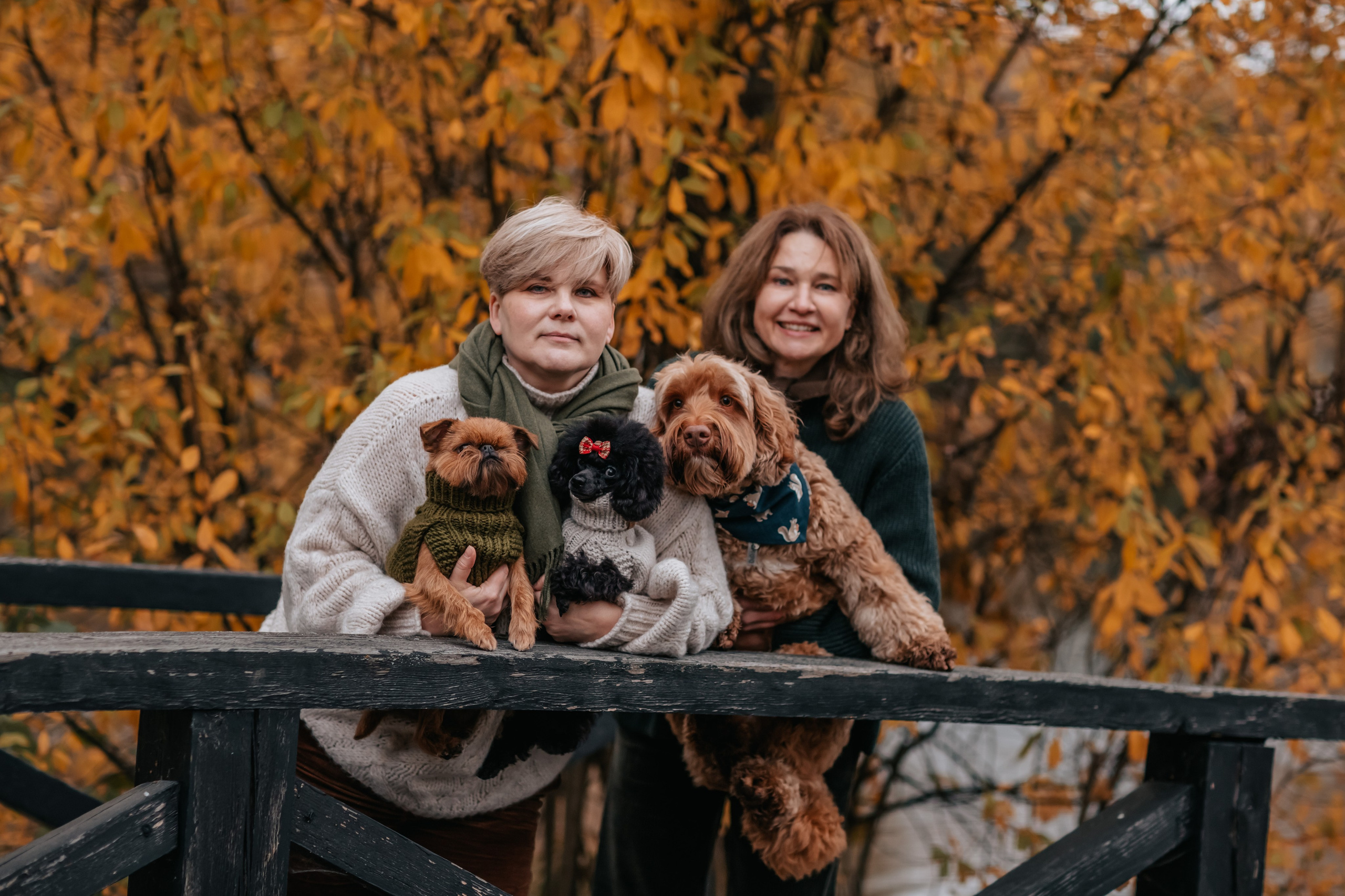 Алла, Евгения, Чаплин, Лиза и Дюшес, осенняя прогулка. Семейный фотограф анималист Мария Крючкова