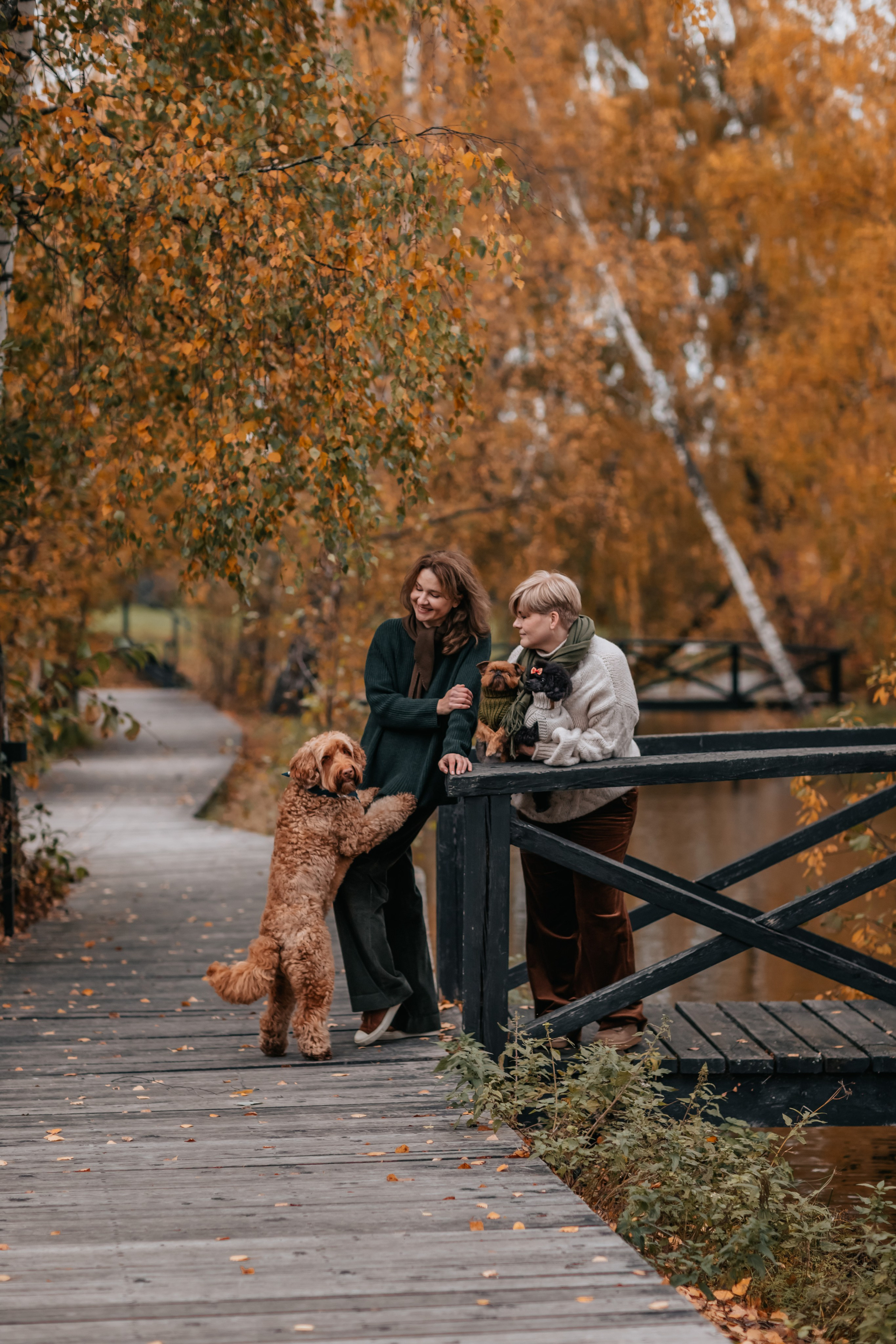 Алла, Евгения, Чаплин, Лиза и Дюшес, осенняя прогулка. Семейный фотограф анималист Мария Крючкова