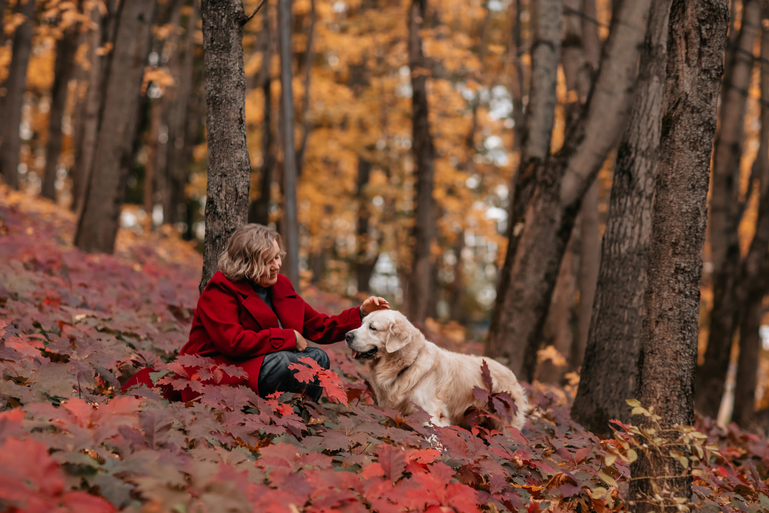Рэм и семья, прогулка в осеннем парке. Семейный фотограф анималист Мария Крючкова