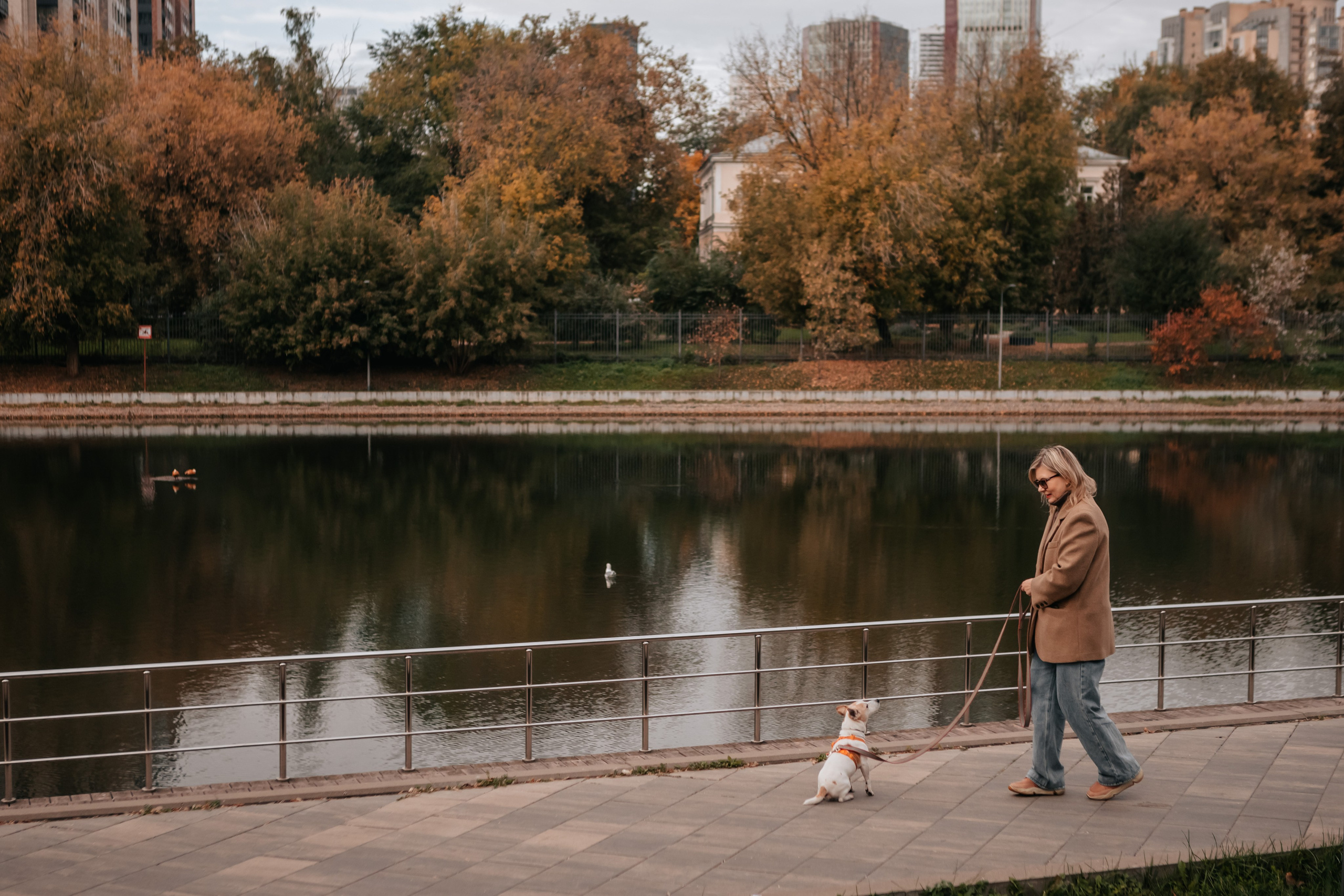 Татьяна и Боб Дилан. Осення прогулка. Семейный фотограф анималист Мария Крючкова