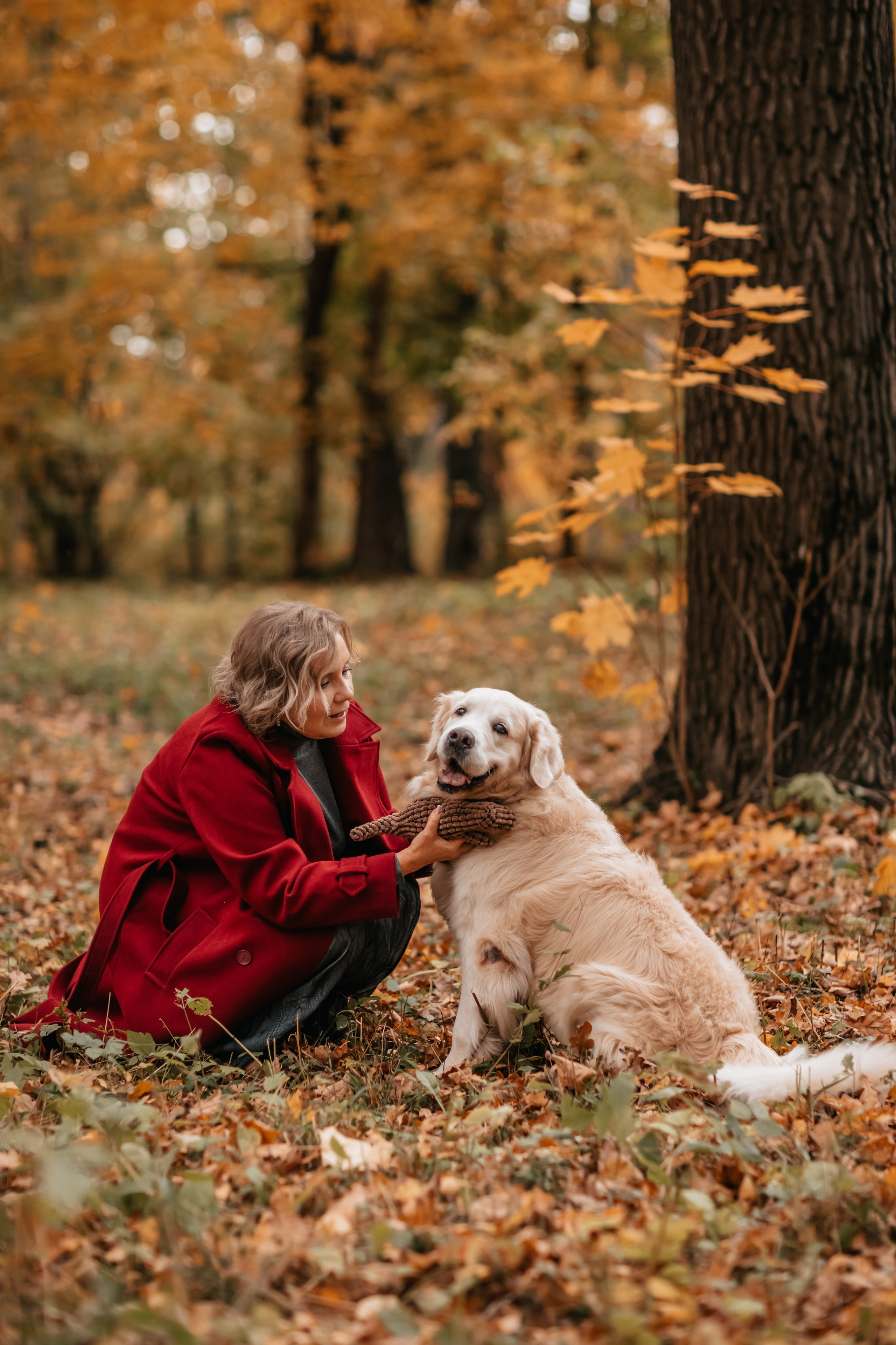 Рэм и семья, прогулка в осеннем парке. Семейный фотограф анималист Мария Крючкова