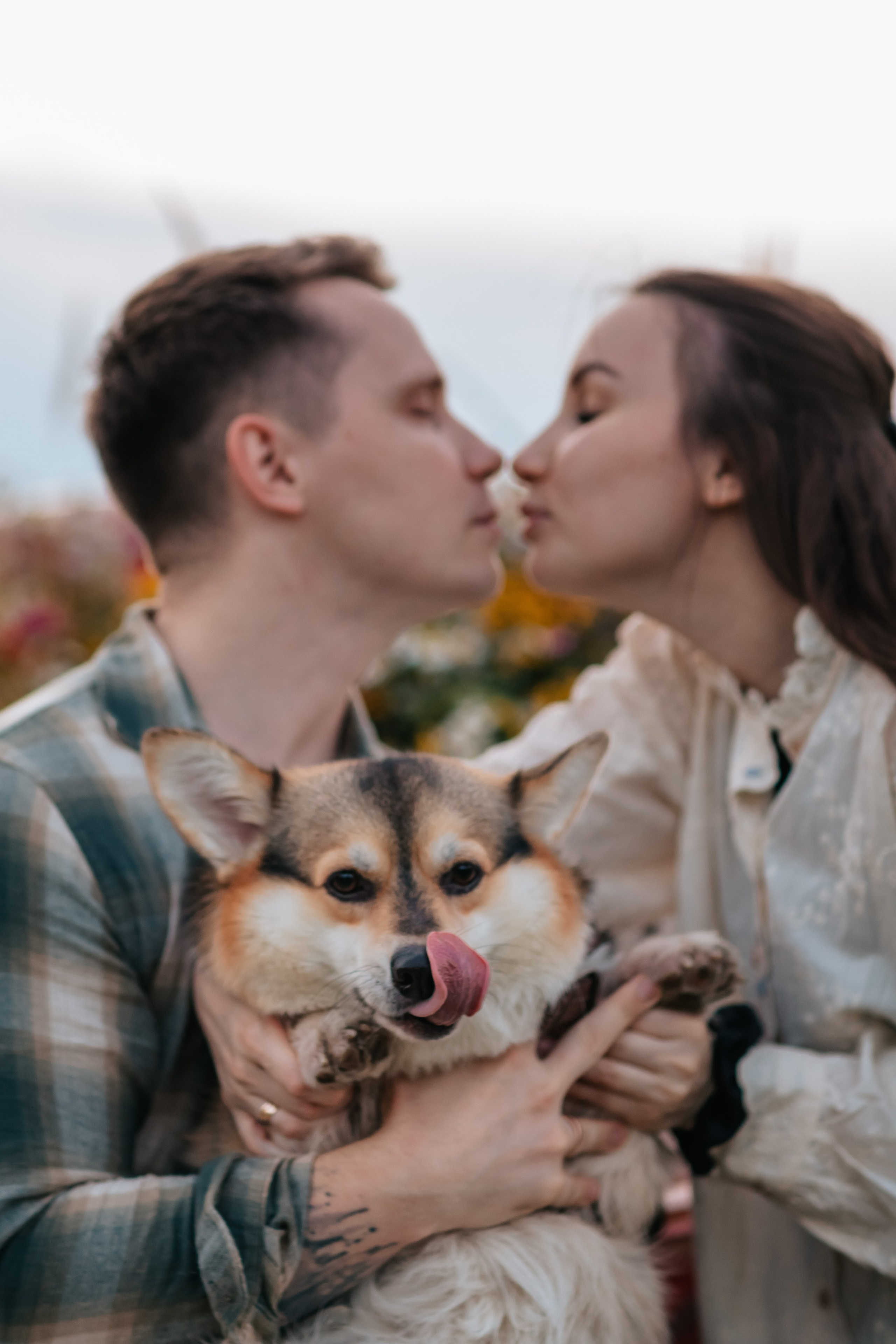 Коди и семья. Семейный фотограф анималист Мария Крючкова