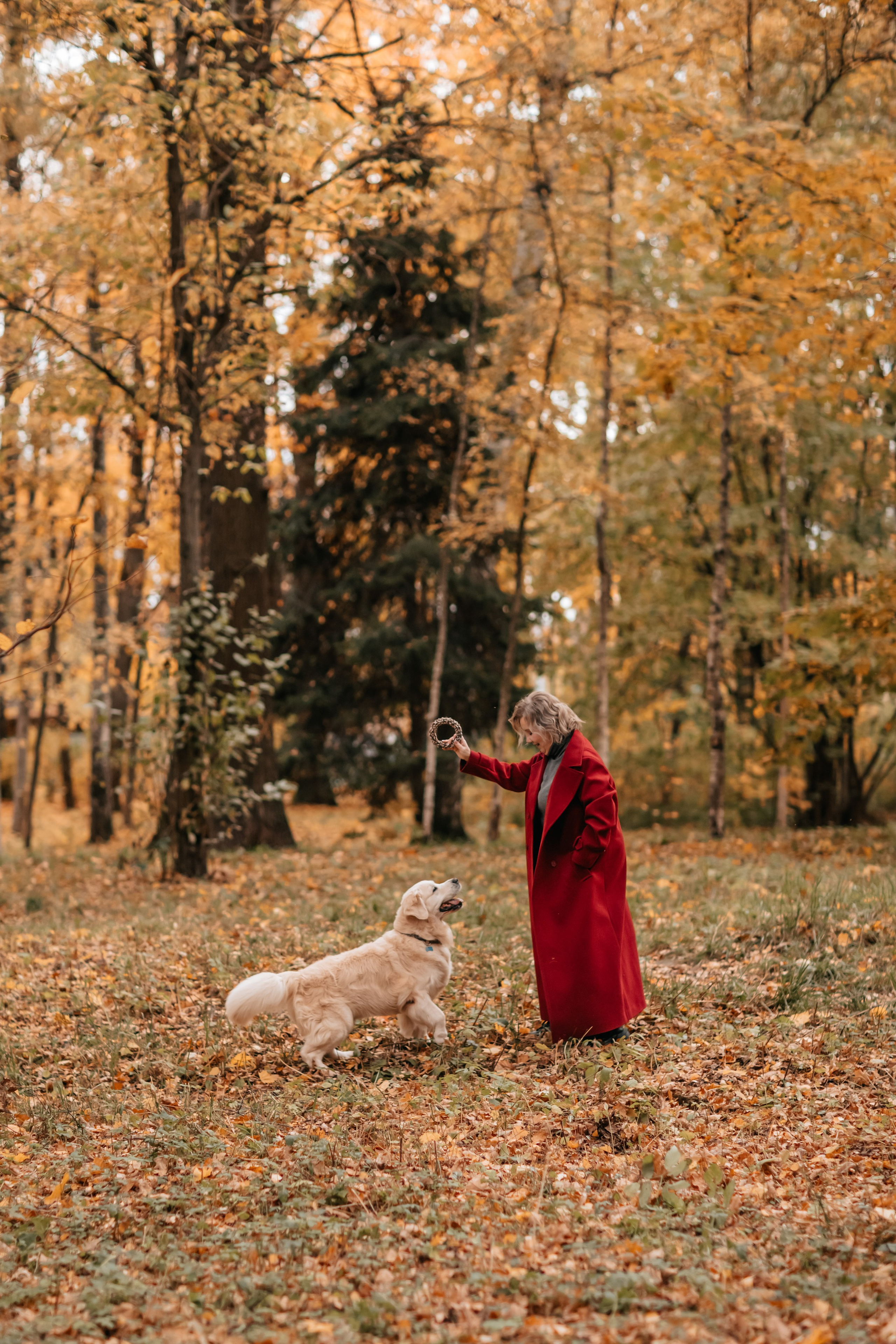Рэм и семья, прогулка в осеннем парке. Семейный фотограф анималист Мария Крючкова