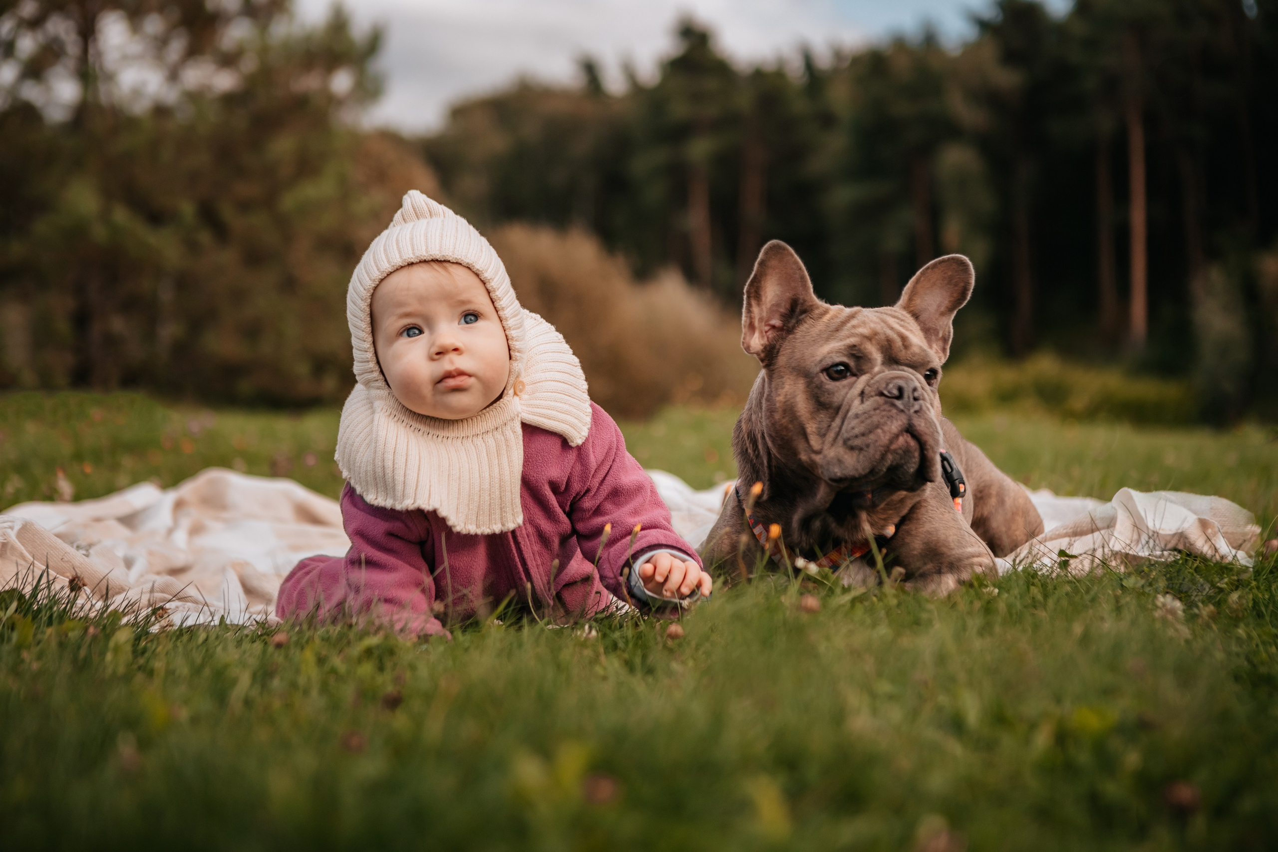 Габи и семья. Прогулка в Мещерском парке. Семейный фотограф анималист Мария Крючкова