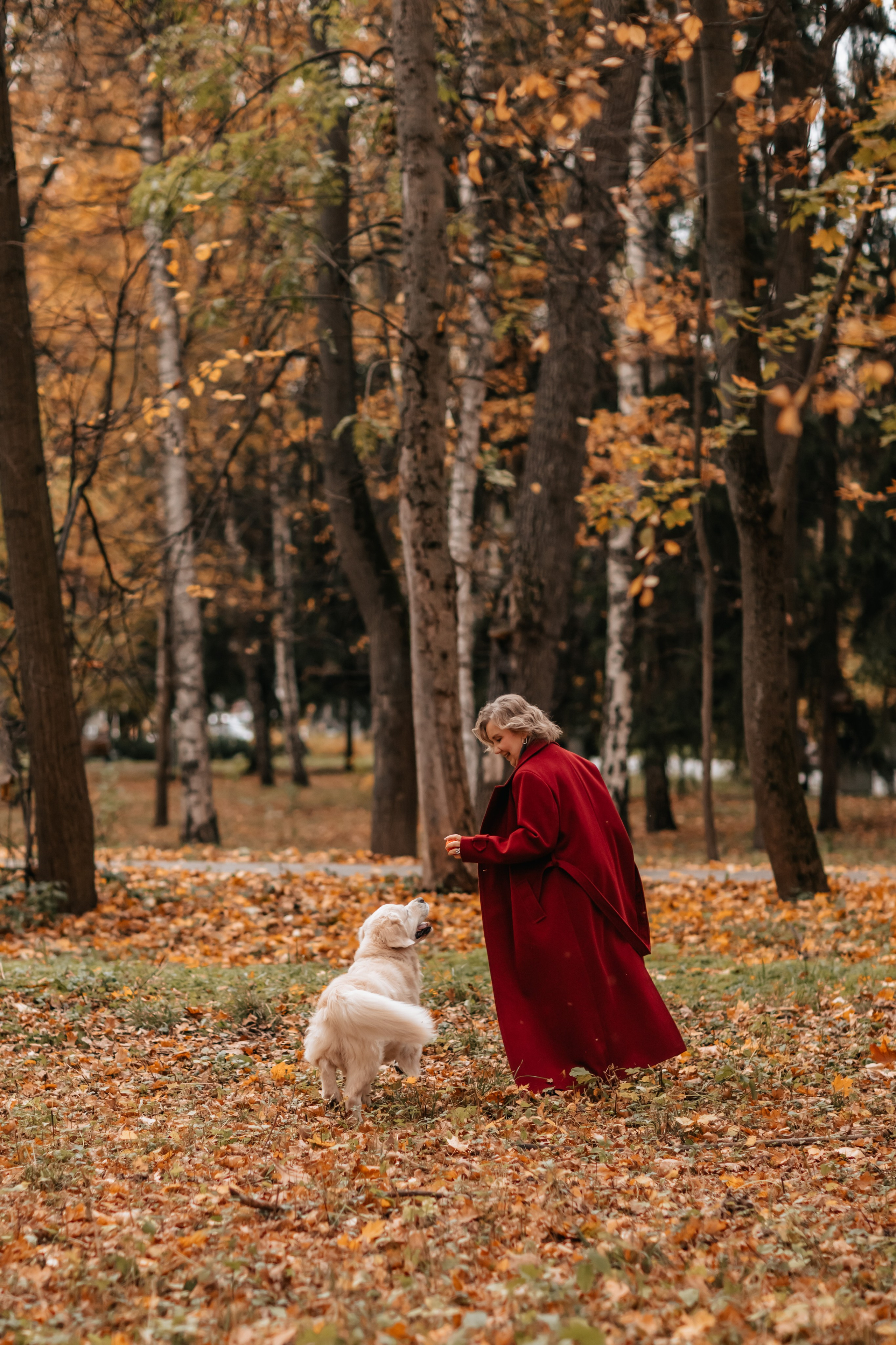 Рэм и семья, прогулка в осеннем парке. Семейный фотограф анималист Мария Крючкова