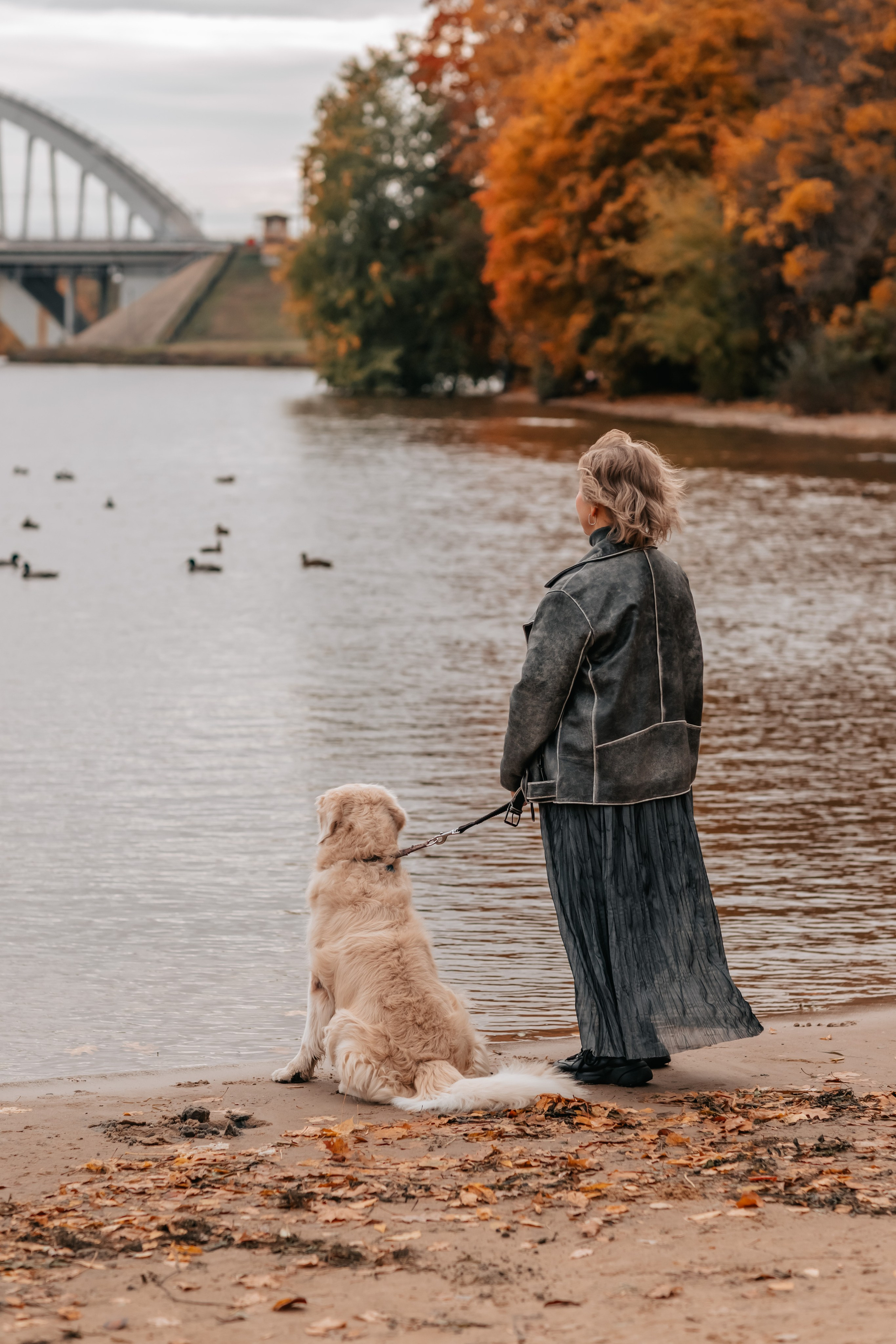 Рэм и семья, прогулка в осеннем парке. Семейный фотограф анималист Мария Крючкова