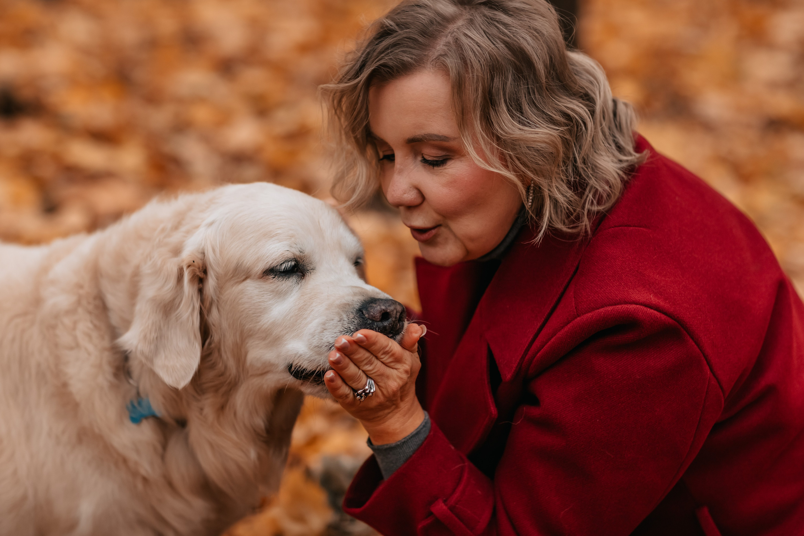 Рэм и семья, прогулка в осеннем парке. Семейный фотограф анималист Мария Крючкова
