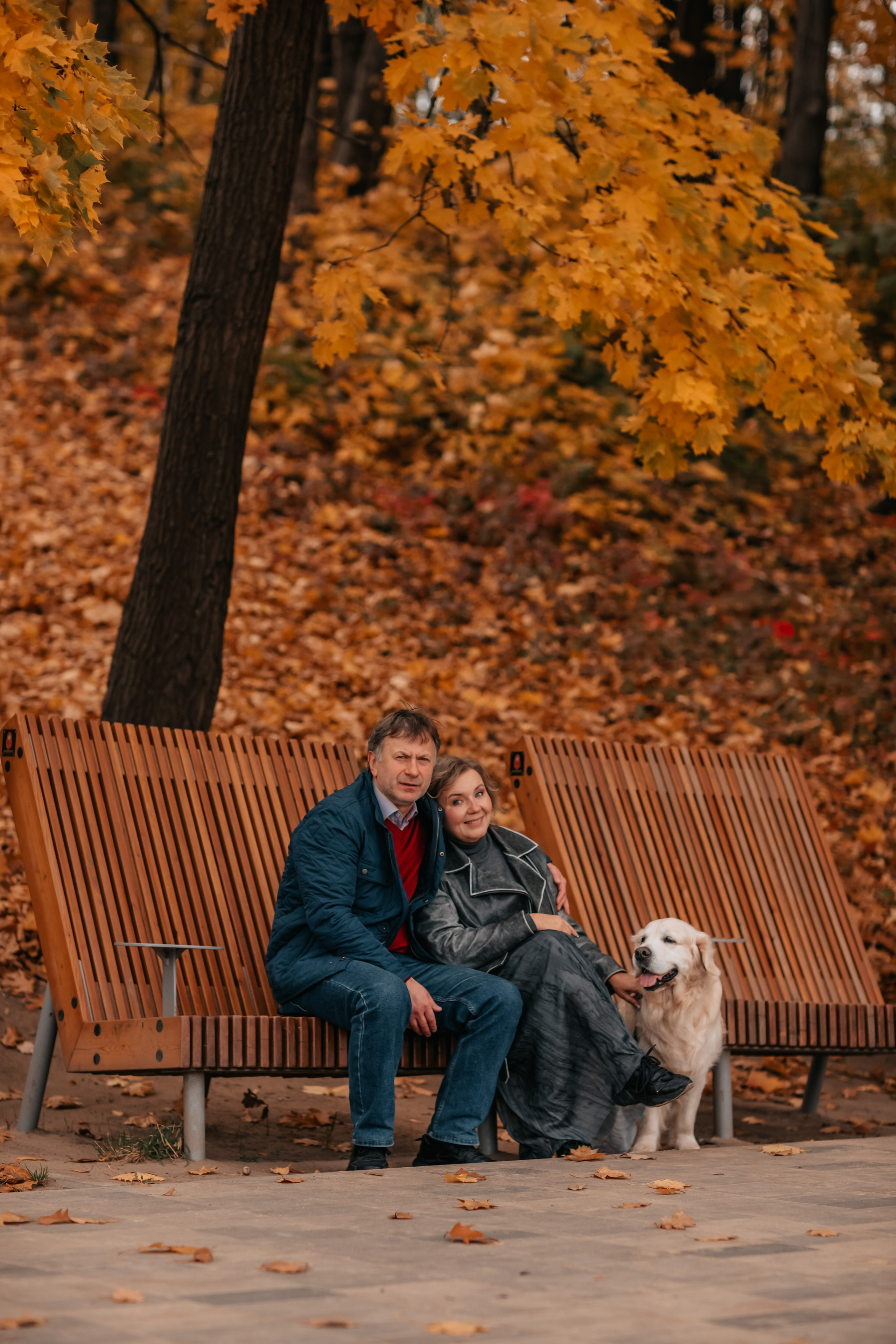 Рэм и семья, прогулка в осеннем парке. Семейный фотограф анималист Мария Крючкова