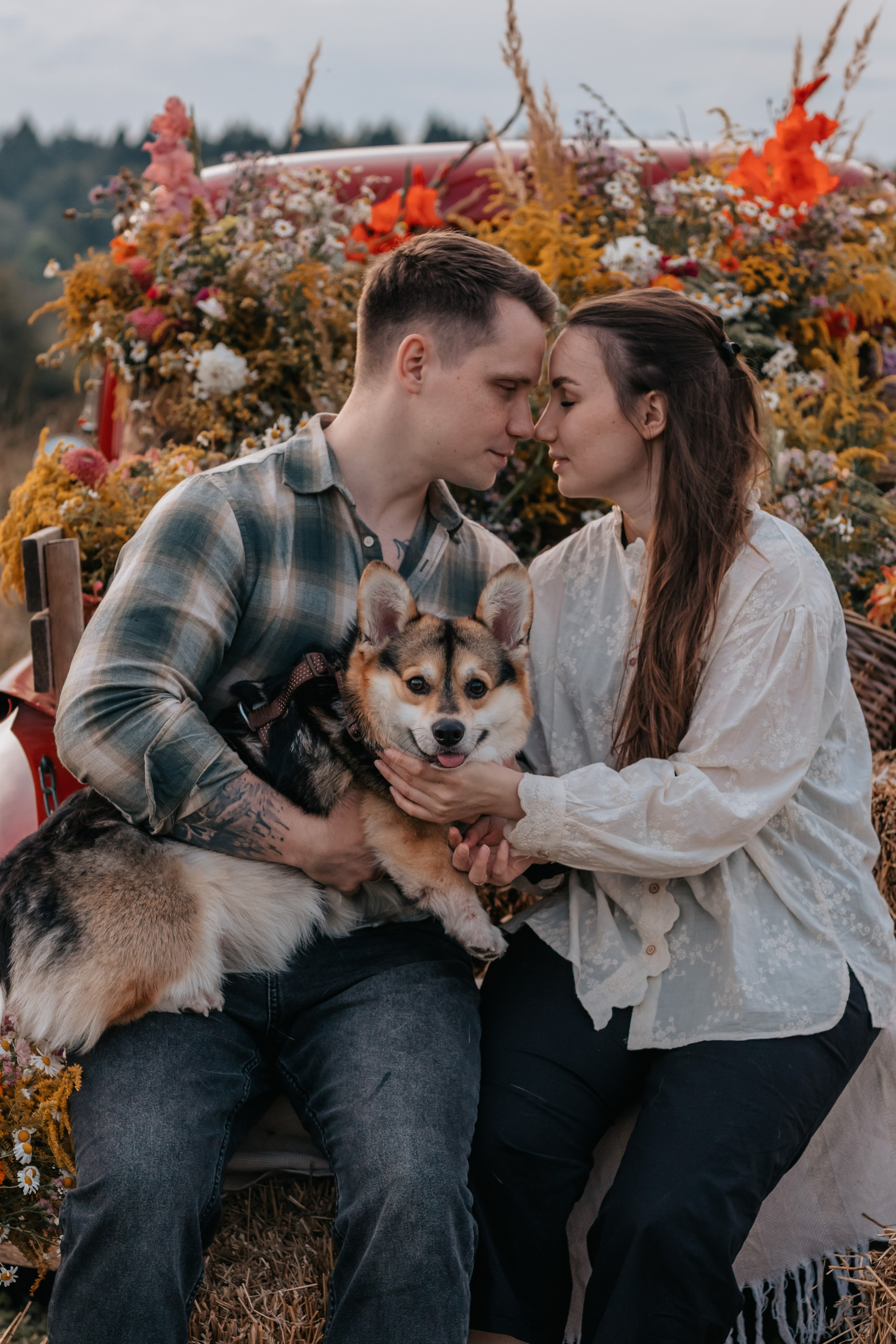 Коди и семья. Семейный фотограф анималист Мария Крючкова