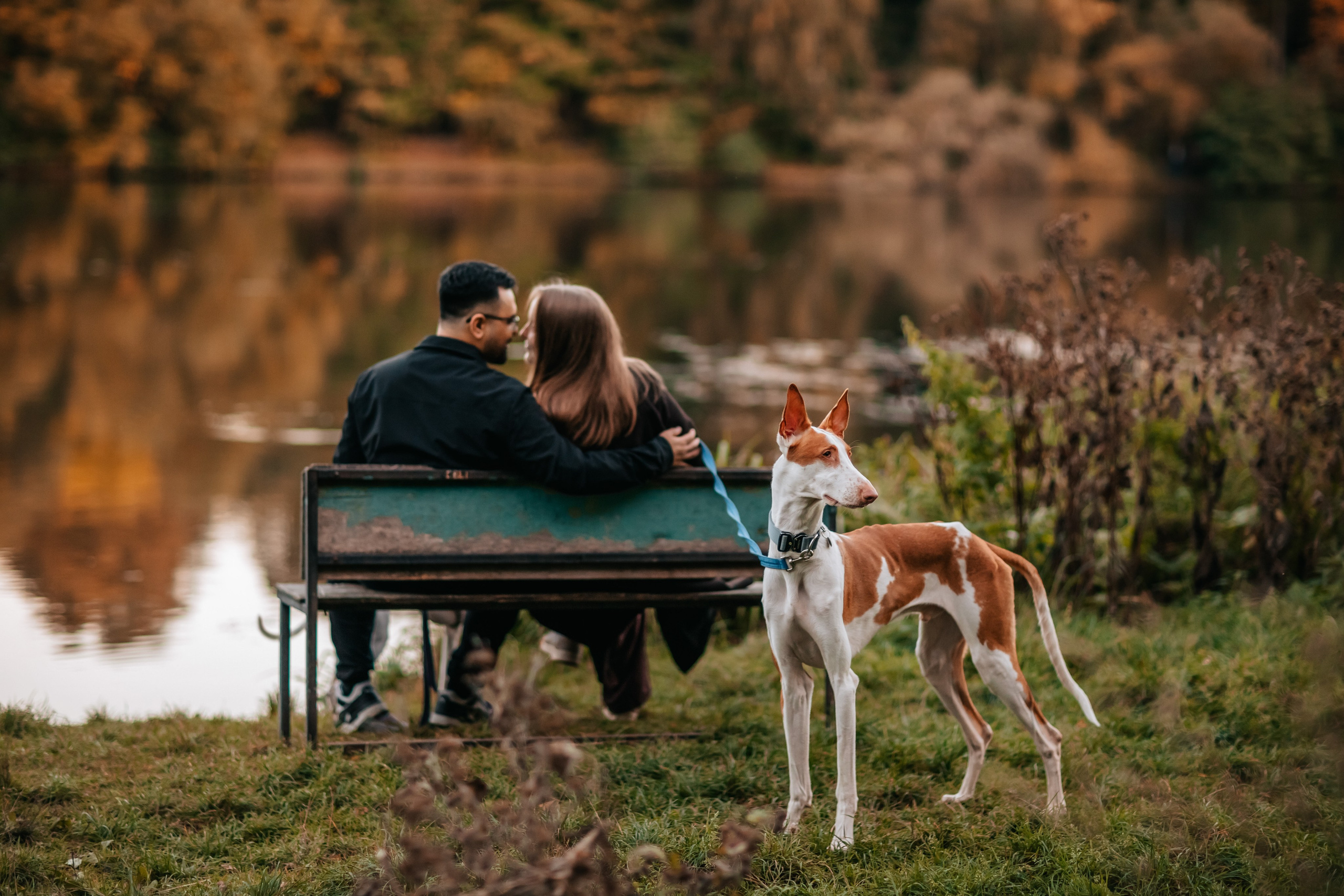 Рохо, Райз и родители, осенняя прогулка в Тимирязевском парке. Семейный фотограф анималист Мария Крючкова
